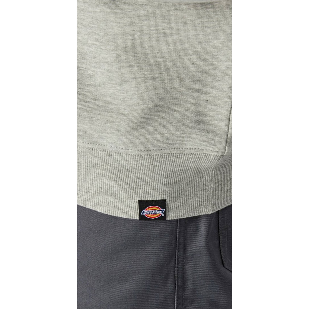 Dickies Sweatshirt »Okemo-Graphic«