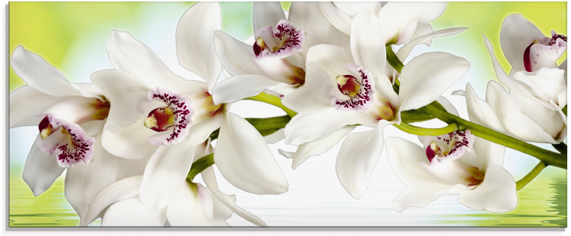 Artland Glasbild "Weiße Orchidee" 1 Stk. tlg. in verschiedenen Größen günstig online kaufen