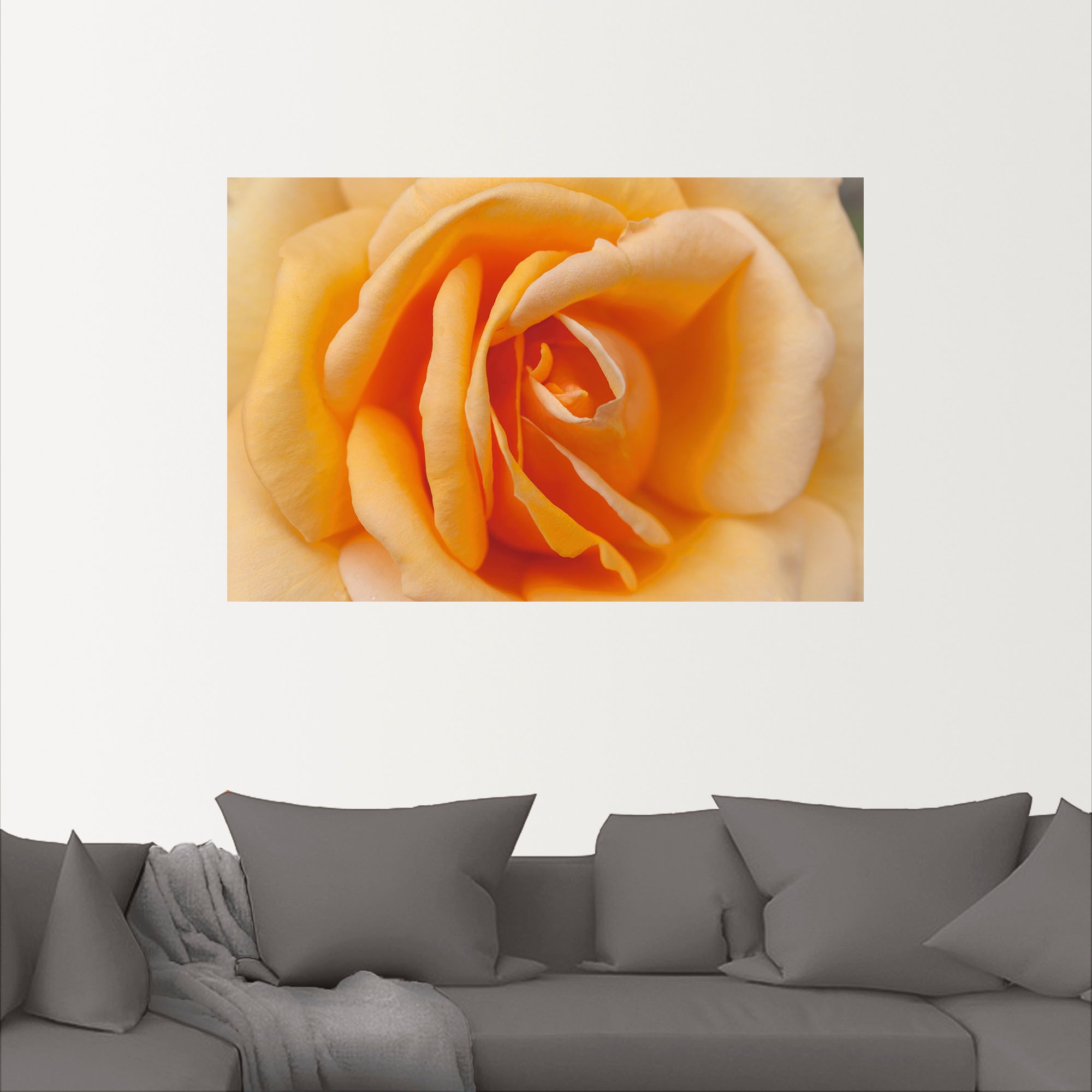 Artland Wandbild »Zarte Rose Orange«, in oder Wandaufkleber | bestellen St.), versch. Poster Leinwandbild, in (1 Blumenbilder, Größen BAUR Alubild, als