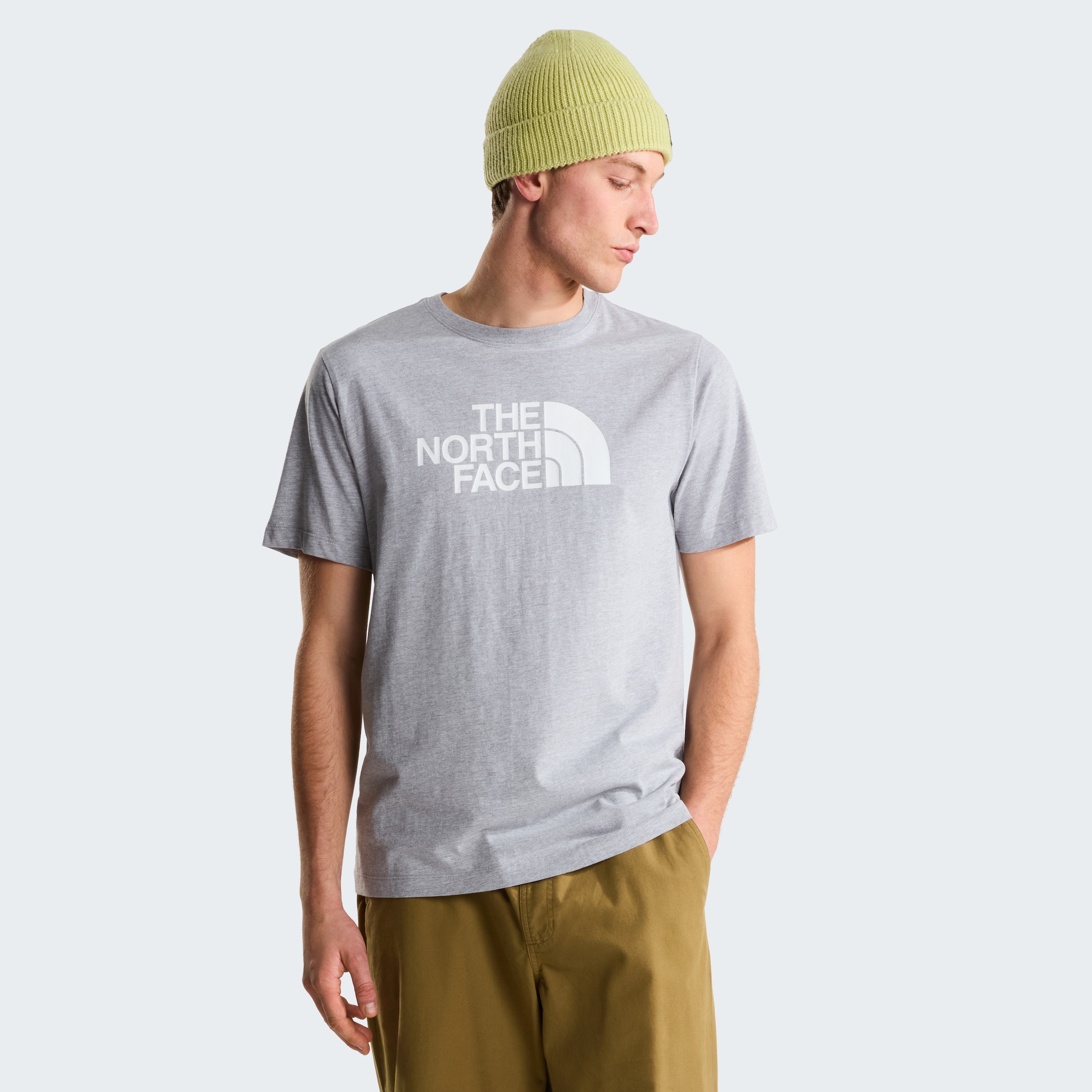 The North Face T-Shirt "M EVOLUTION HALF DOME REGULAR SHORT SLEEVE TEE" spo günstig online kaufen