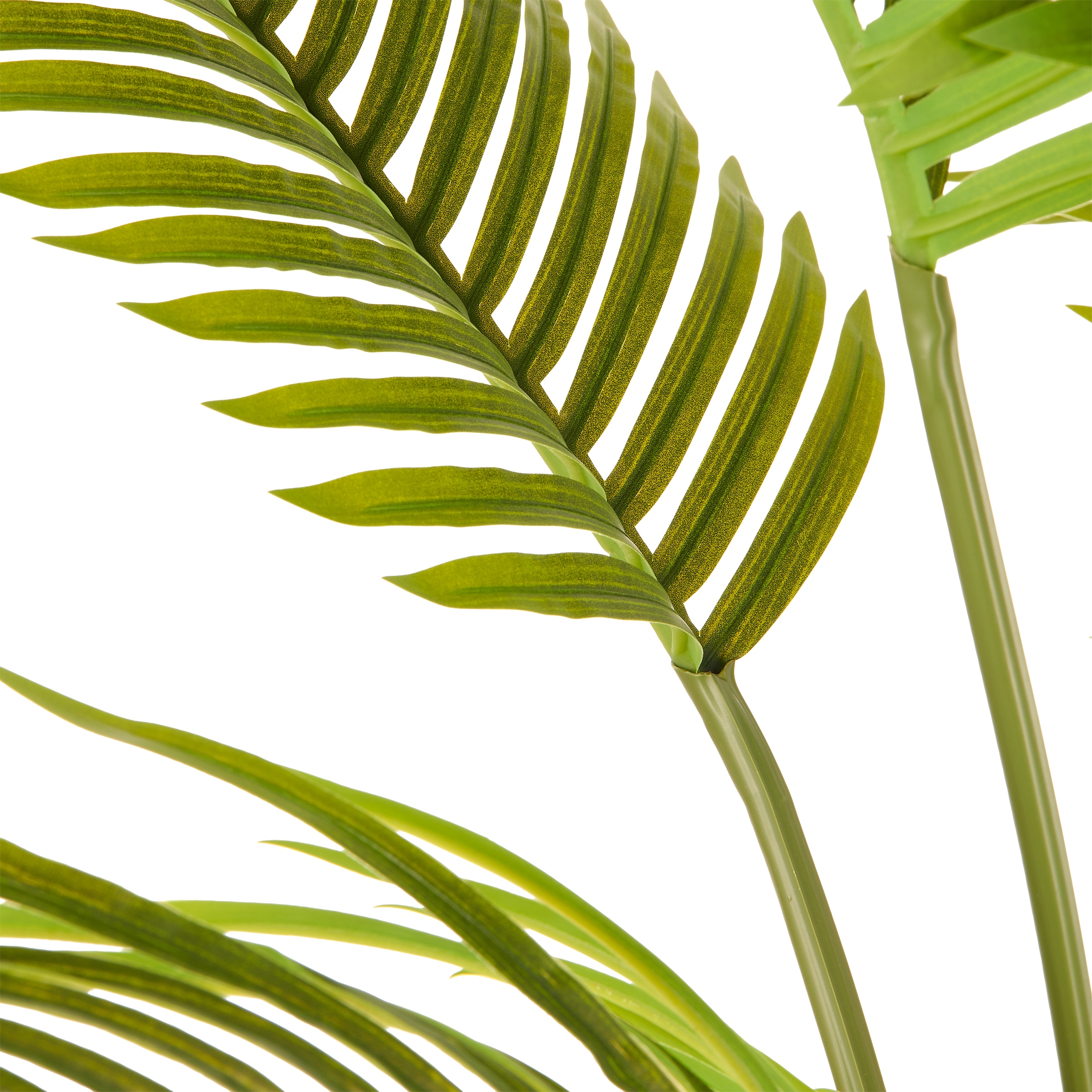 Creativ green Kunstpalme »Arecapalme« mit naturgetreuen Palmwedeln
