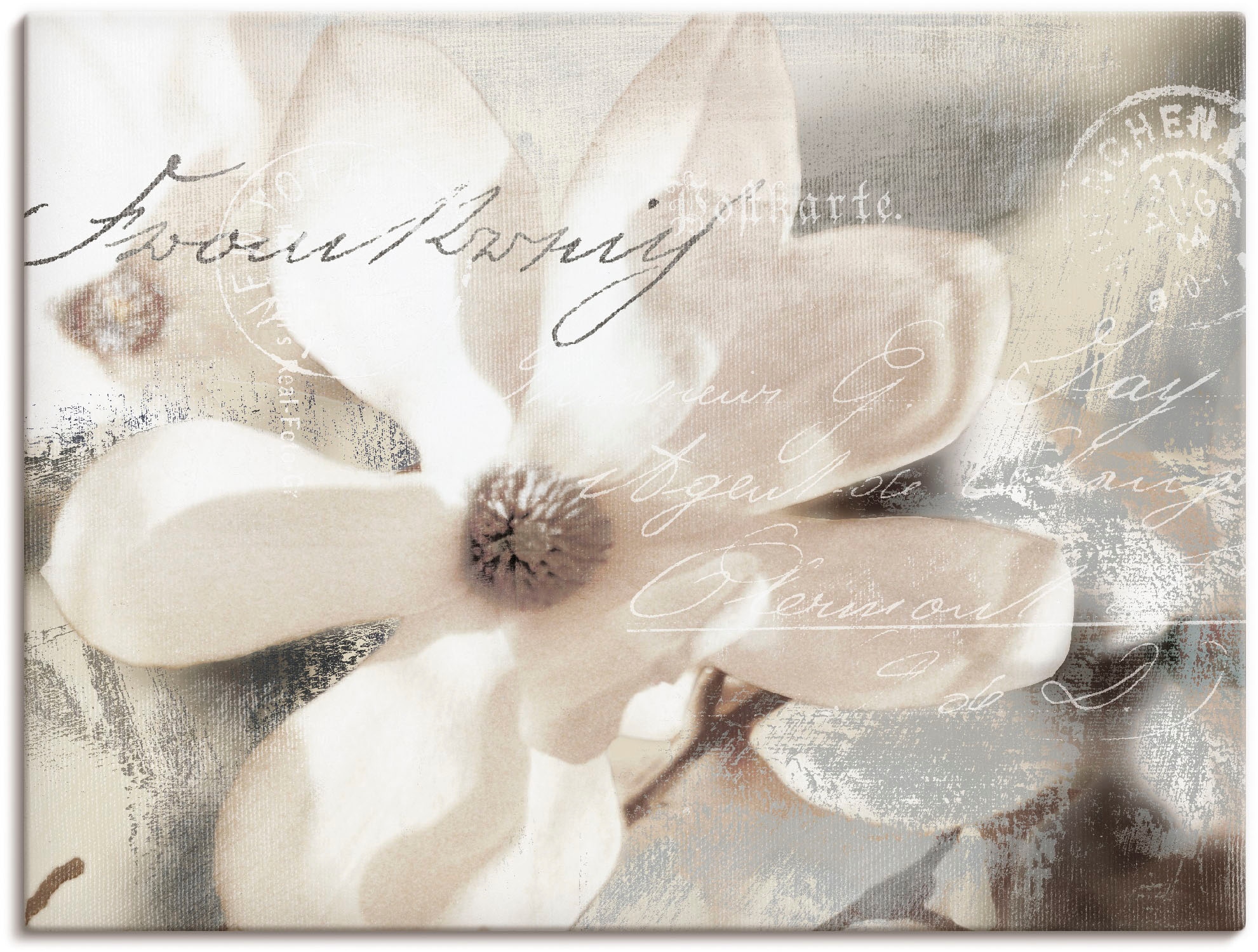 Artland Wandbild "Magnolie Detail" Blumenbilder 1 Stk. tlg. als Alubild, Ou günstig online kaufen