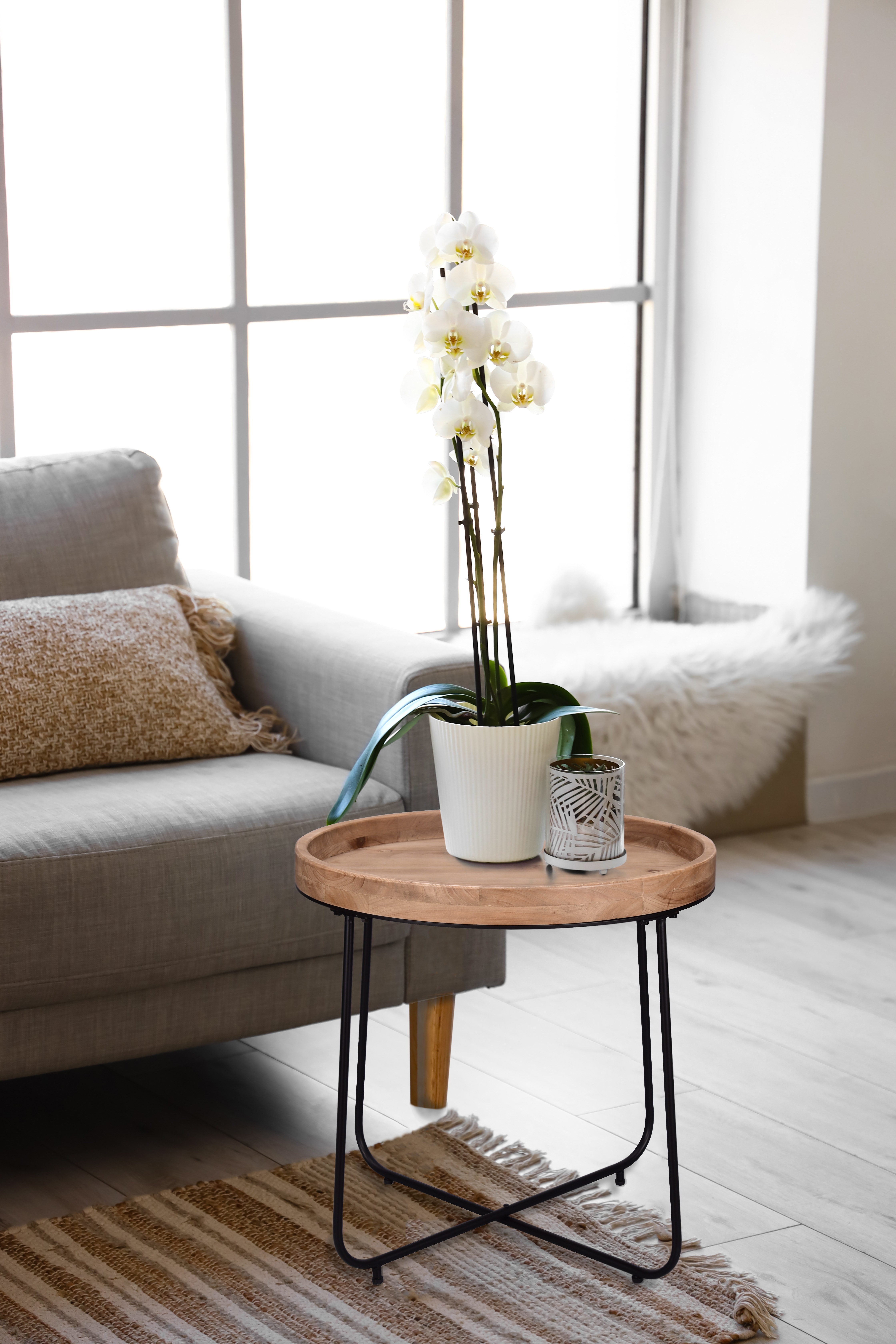 Thumbnail - MIRRORS AND MORE Beistelltisch "Jette" 1 Stk. tlg. hochwertige Echtholzplatte