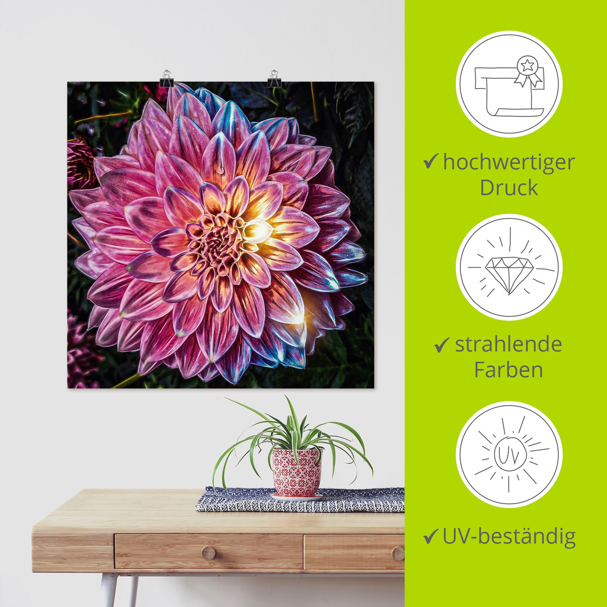 Artland Wandbild »Lila Blüte beleuchtet«, Blumenbilder, (1 St.), als Alubild, Leinwandbild, Wandaufkleber oder Poster in versch. Größen