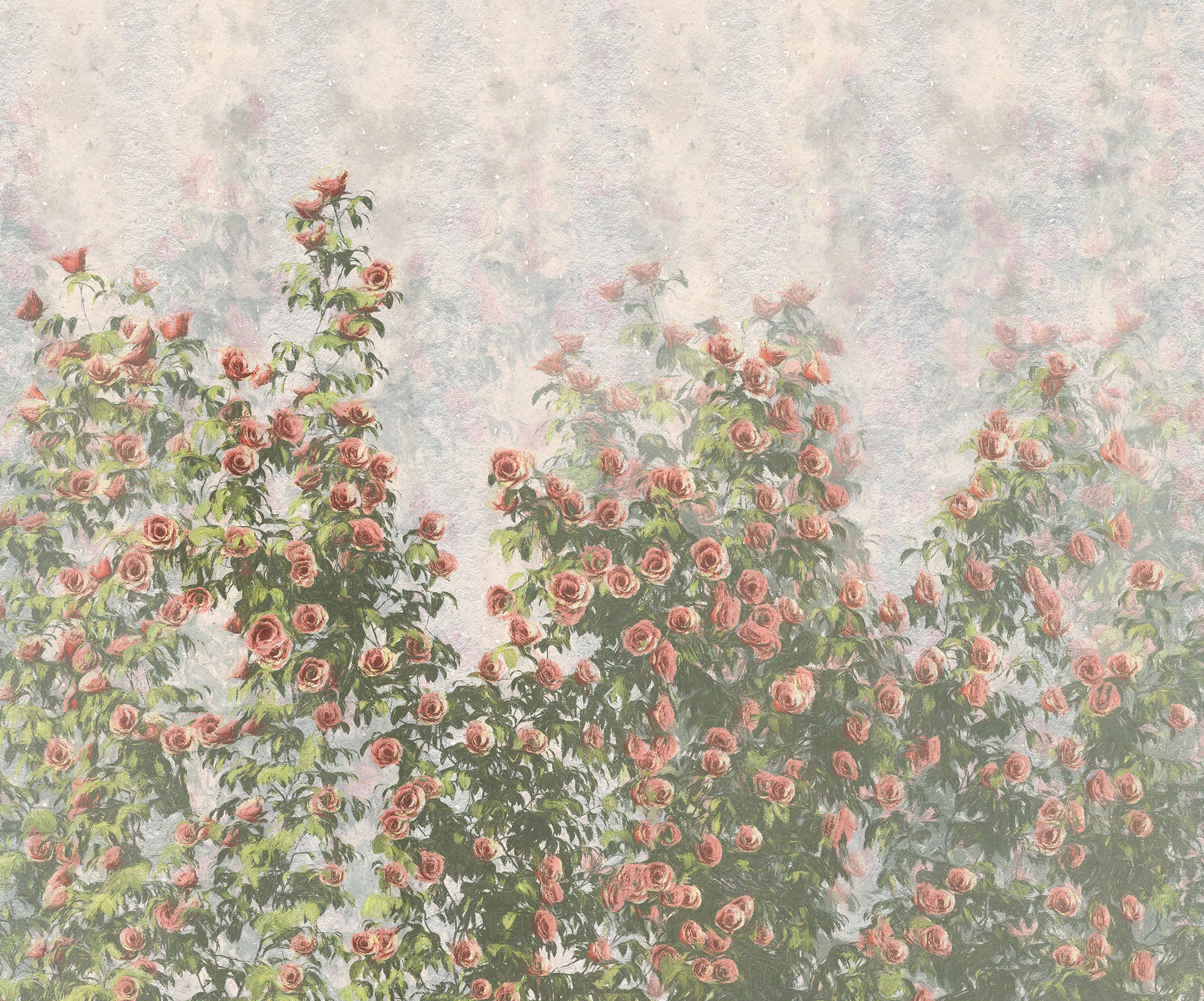 Komar Vliestapete "Wall Roses", 300x250 cm (Breite x Höhe)