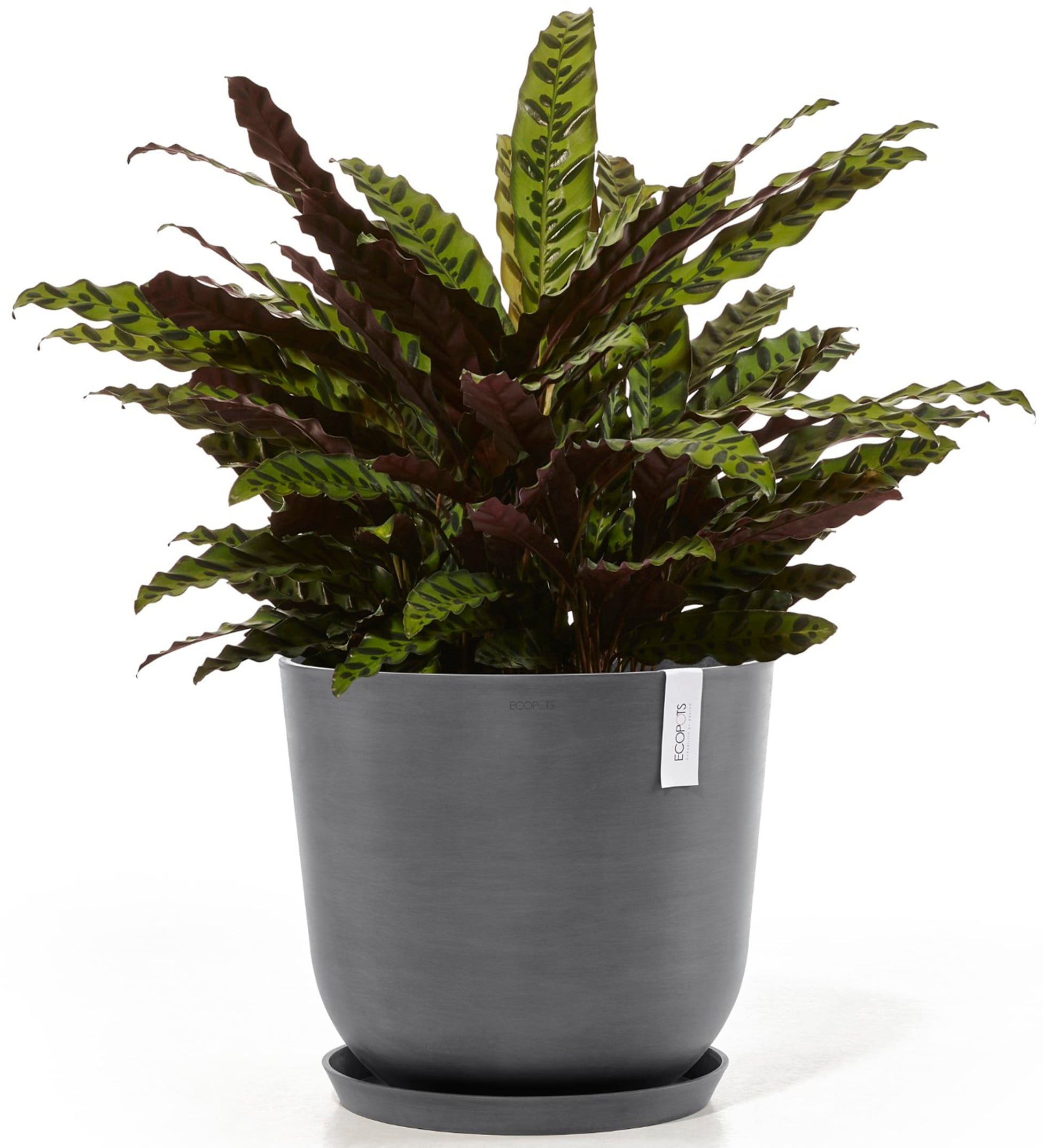 ECOPOTS Blumentopf »Oslo 45 + Wassersystem Grau«, für innen und außen: frostsicher, bruchsicher und lichtbeständig