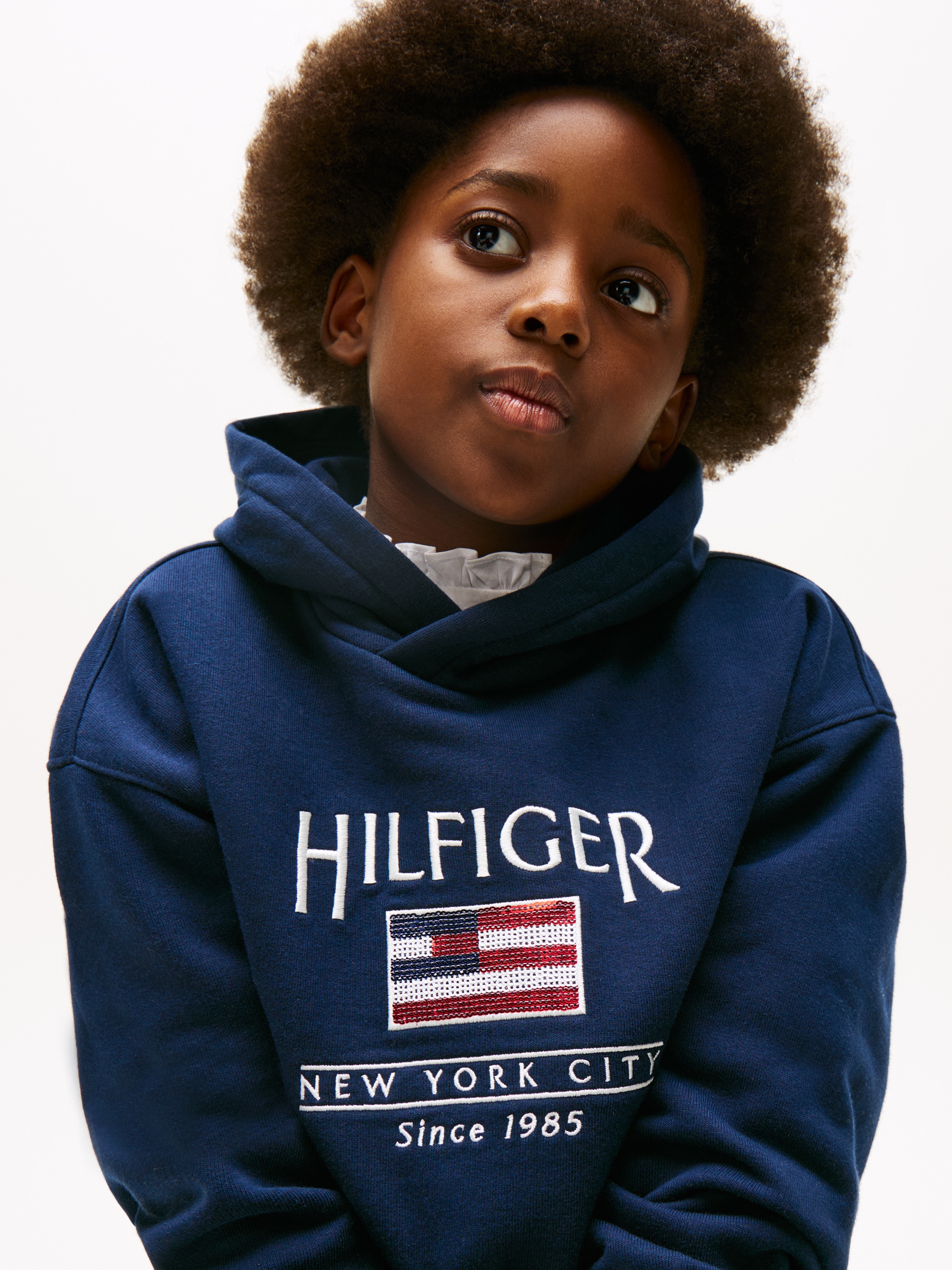 Tommy Hilfiger Kapuzensweatshirt »HILFIGER SEQUIN FLAG HOODIE«, mit Pailetten, mit Logostickereien