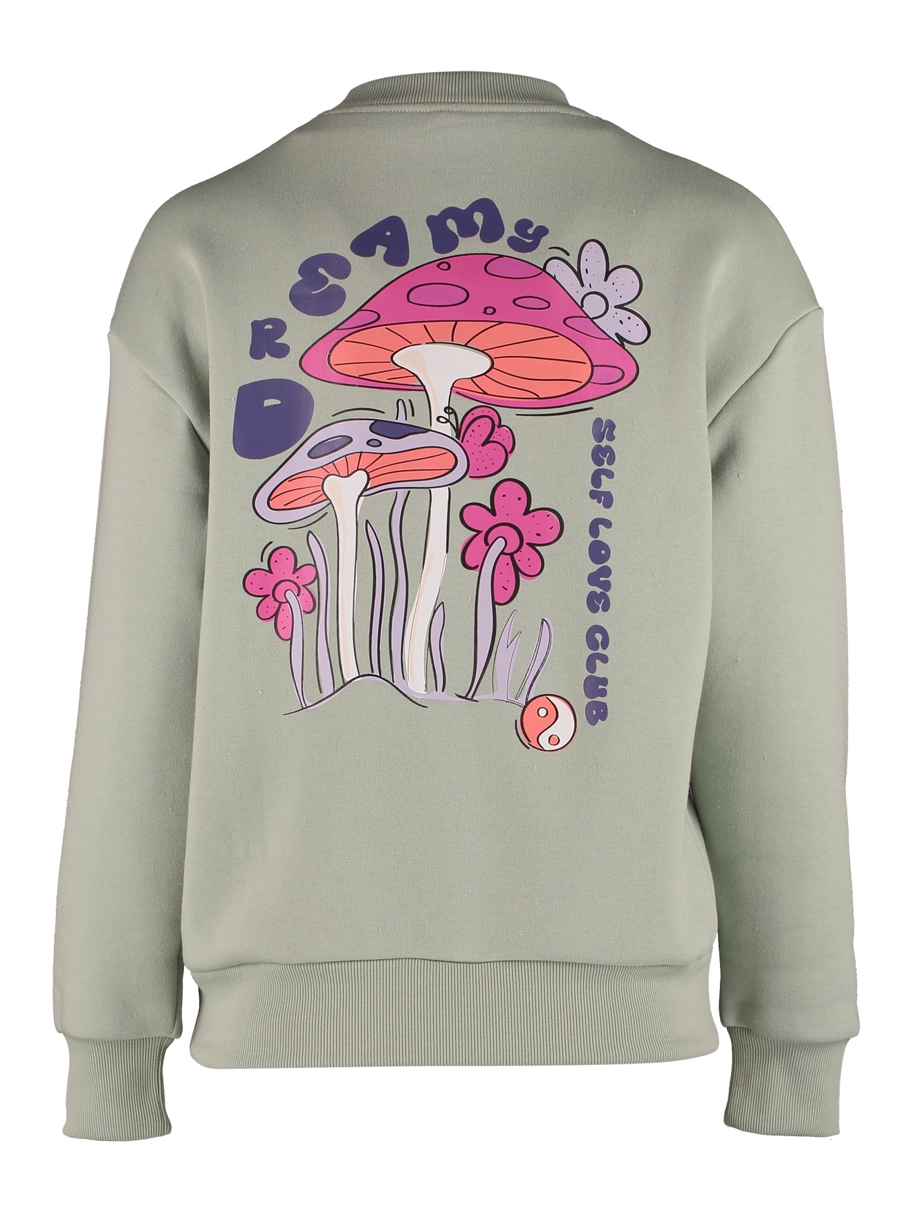 HaILY’S Sweatshirt »LS C SW Mi44lou«