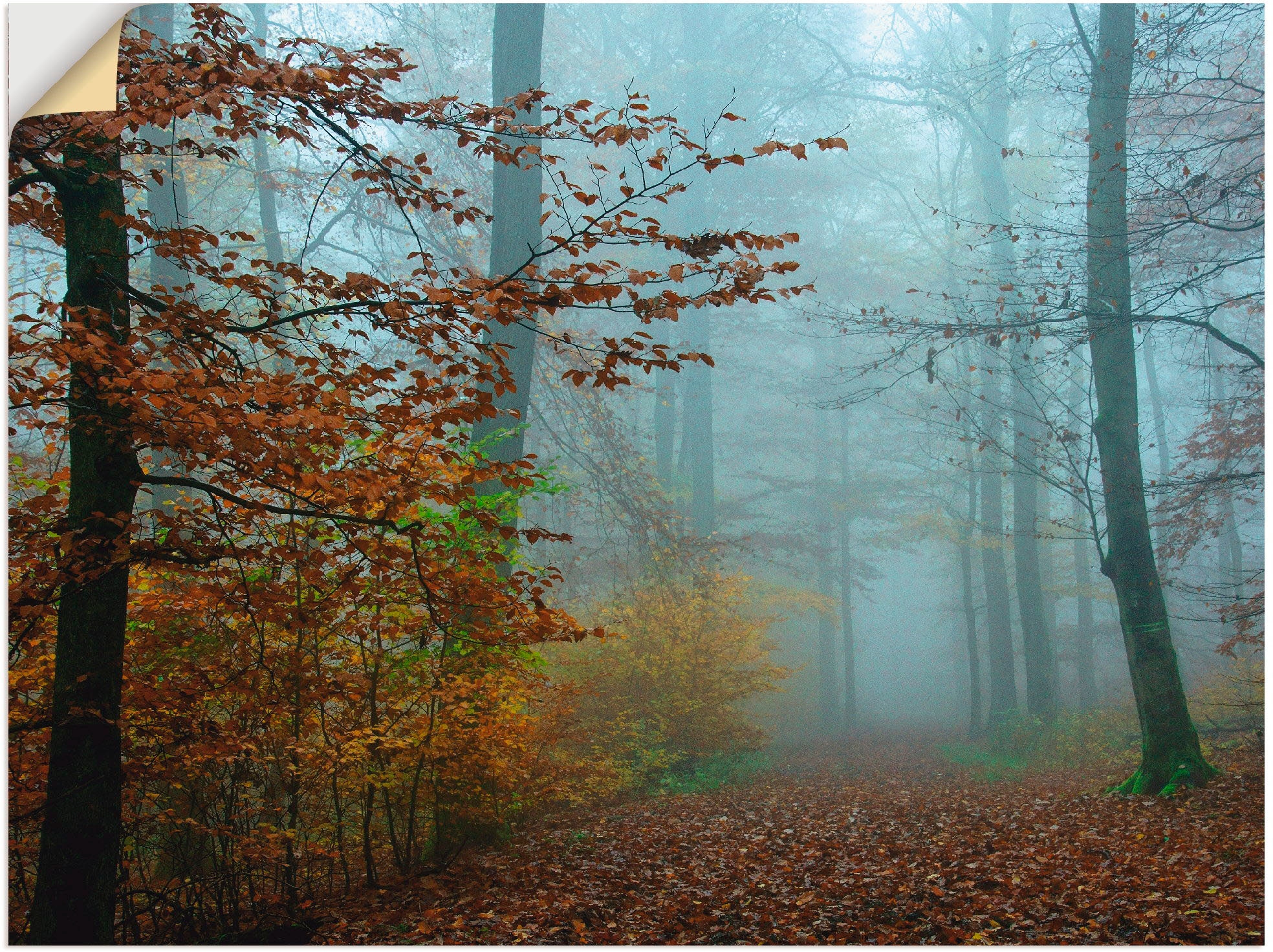 Artland Wandbild "Nebel im Herbstwald", Wald, (1 St.), als Leinwandbild, Poster, Wandaufkleber in verschied. Größen