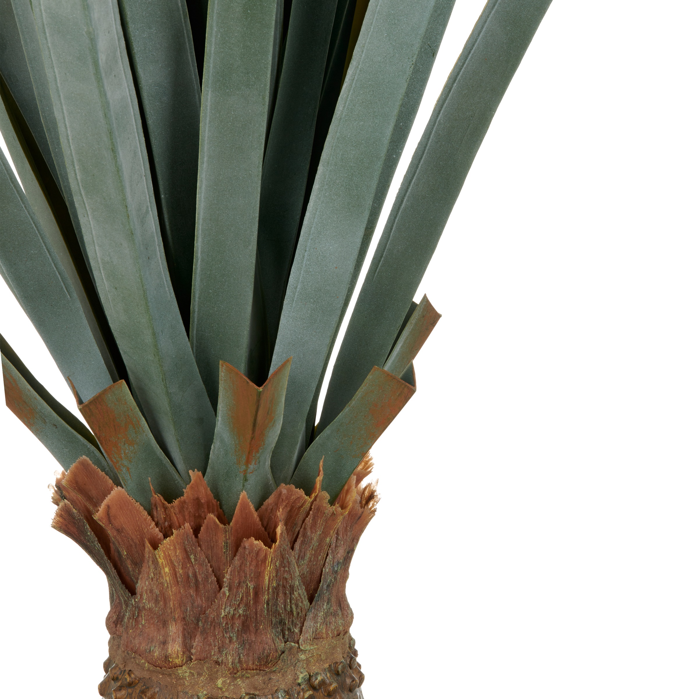 Creativ green Kunstpflanze "Agave angustifolia", in beeindruckender Größe günstig online kaufen