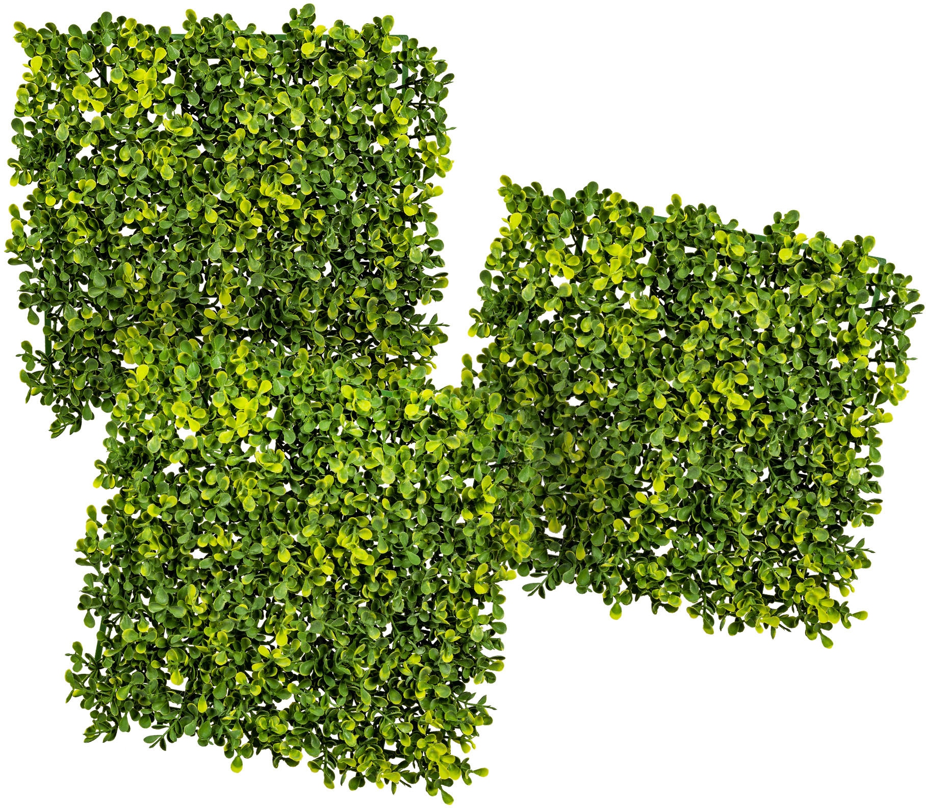 Creativ green Kunstpflanze »Buchsbaummatte«, 3er Set