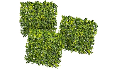 Creativ green Kunstpflanze »Buchsbaummatte«, (3 St.), 3er Set kaufen