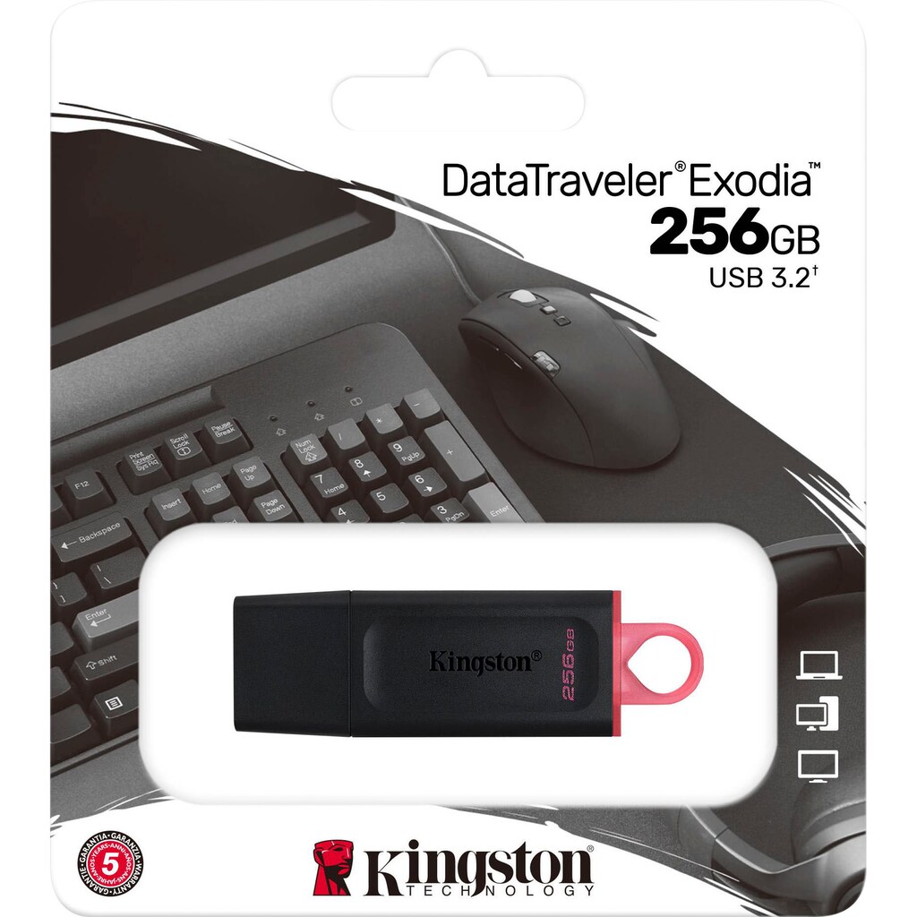 Kingston USB-Stick »DATATRAVELER EXODIA 256GB«, (USB 3.2)