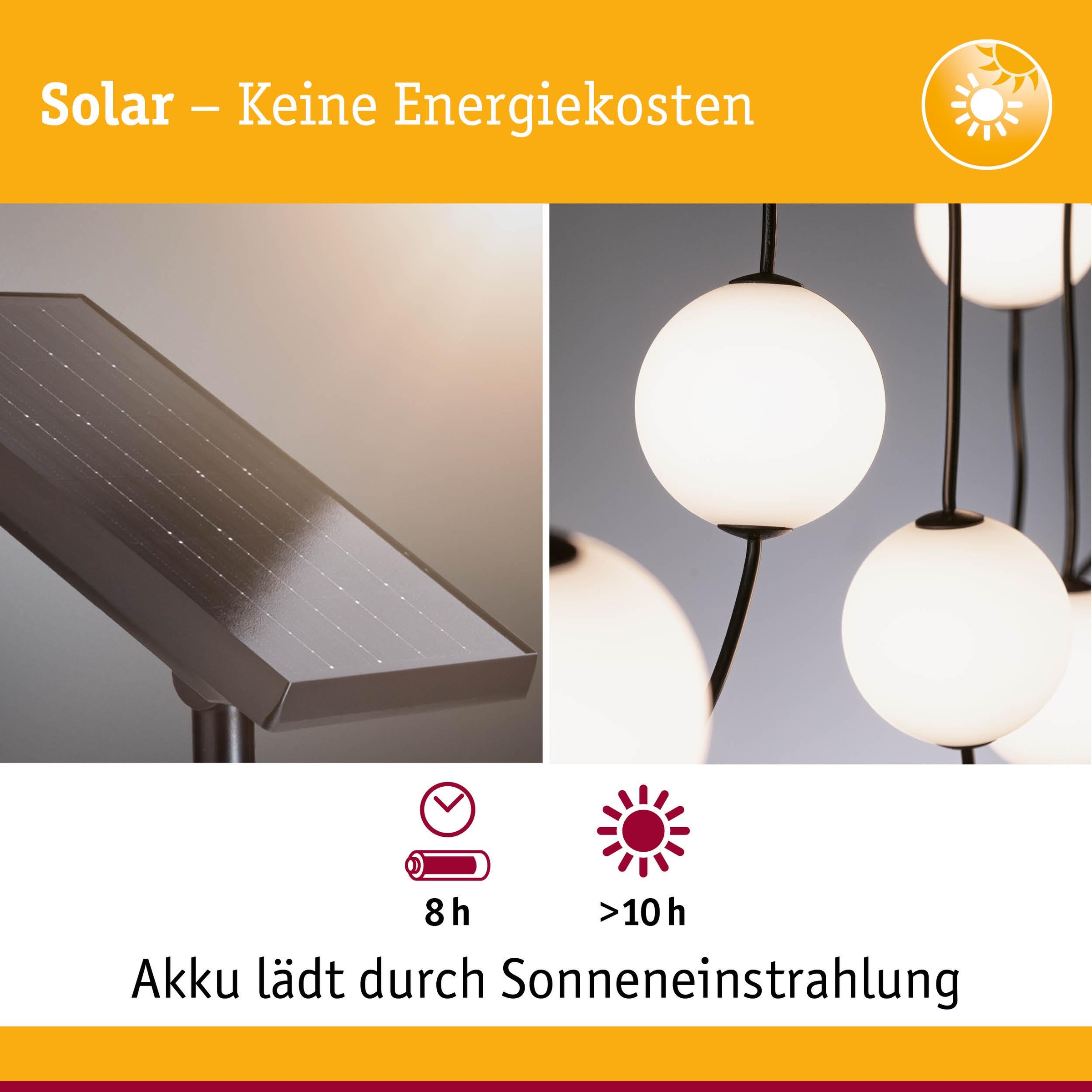 Paulmann LED-Lichterkette »Naima IP67 3000K 1,71m 3x60lm Schwarz« 3 Stk.-flammig spritzwassergeschützt