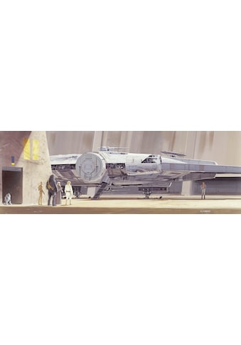 Fototapete »STAR WARS Classic RMQ MilleniumFalcon«