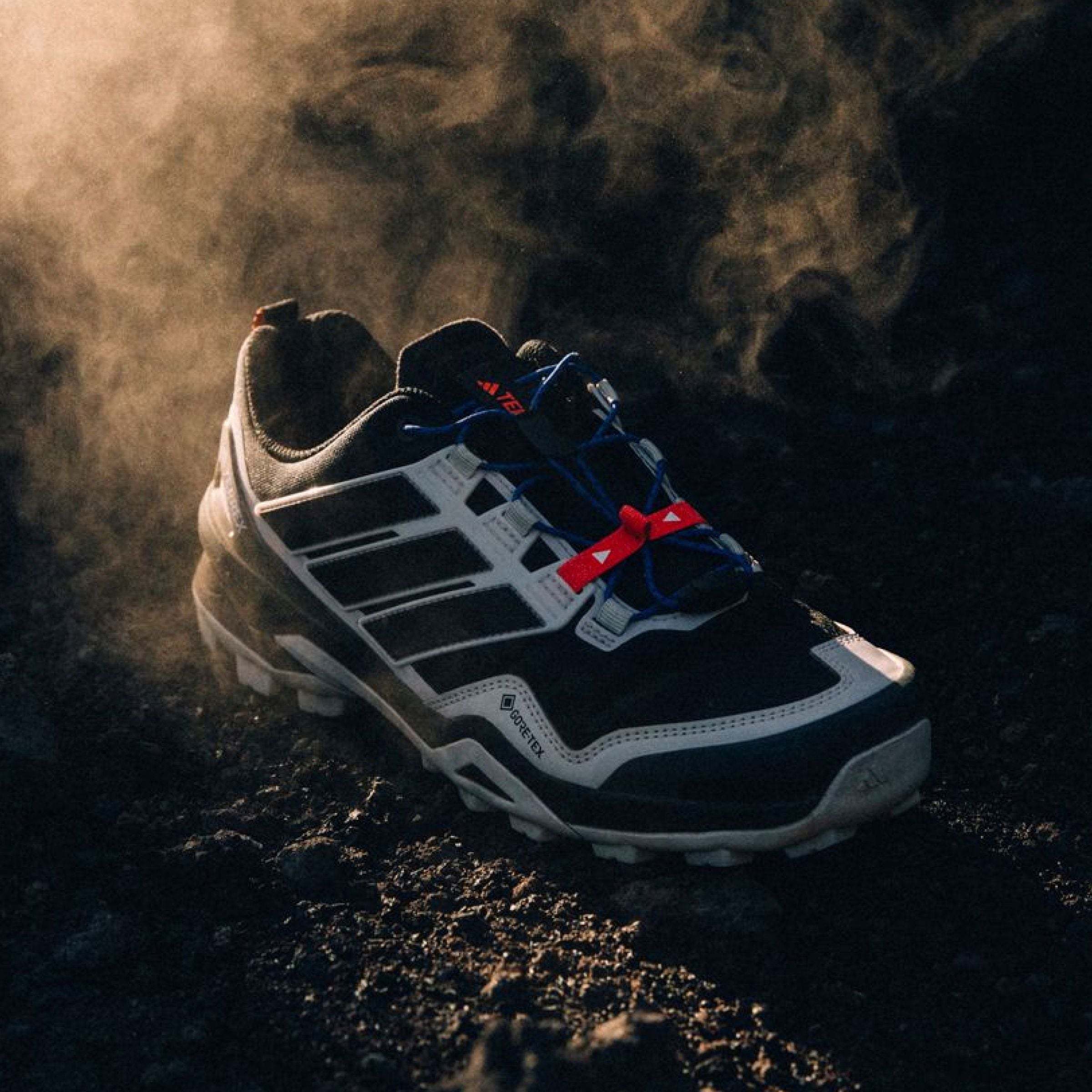 adidas TERREX Wanderschuh »TERREX SKYCHASER GORE-TEX«
