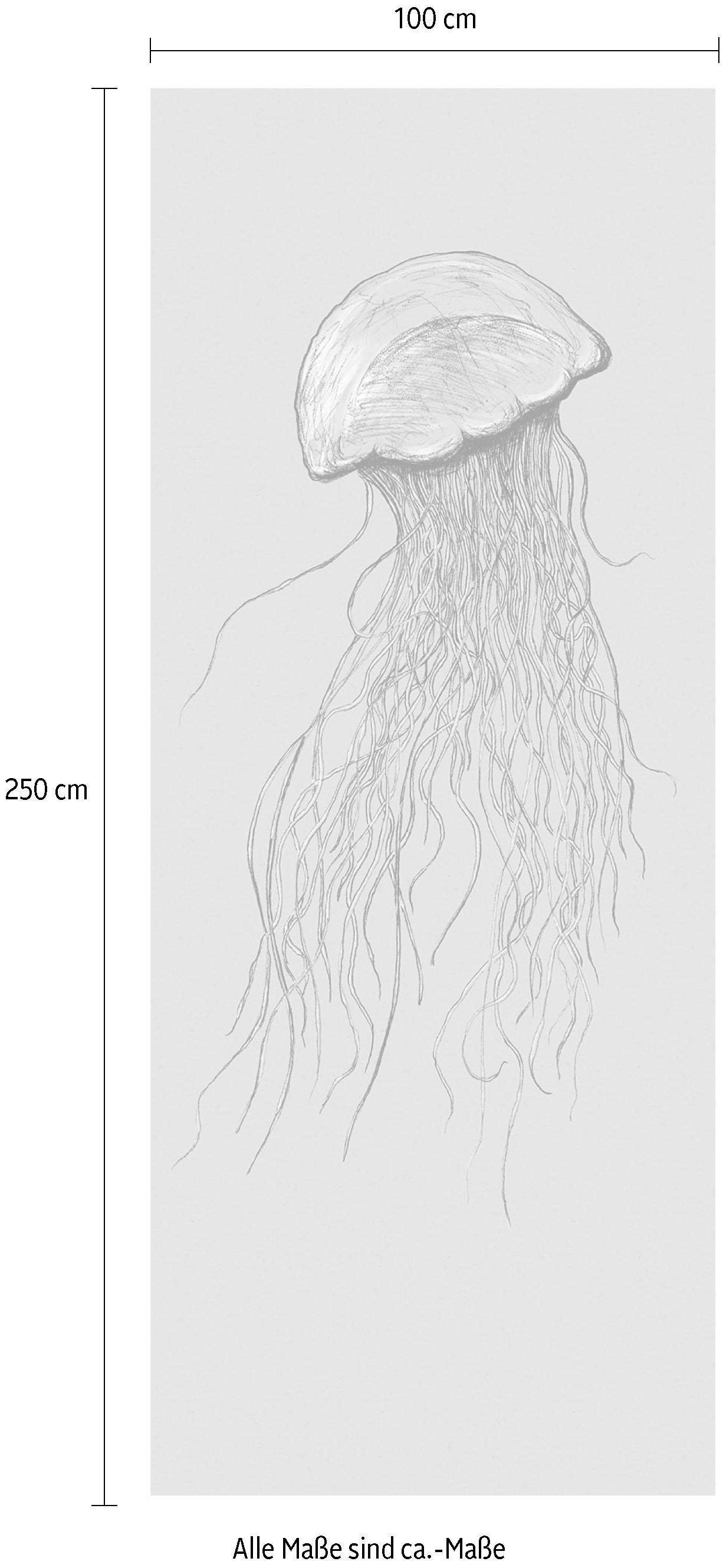 Komar Vliestapete »Digitaldruck Vlies -  Jellyfish Panel - Größe 100 x 250 cm« bedruckt glatt Wohnzimmer, Schlafzimmer