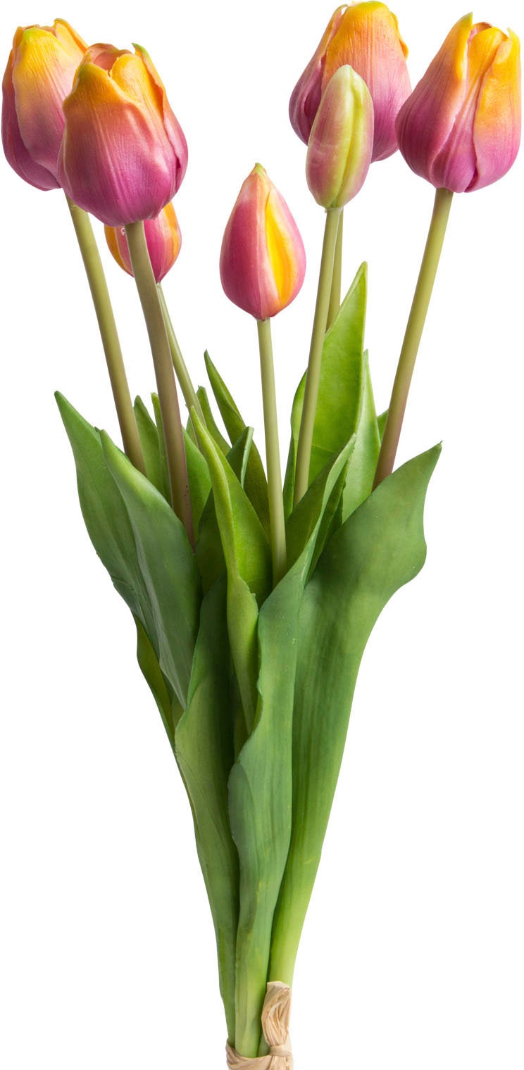 Botanic-Haus Kunstblume kaufen »Tulpenbündel real BAUR Touch« 