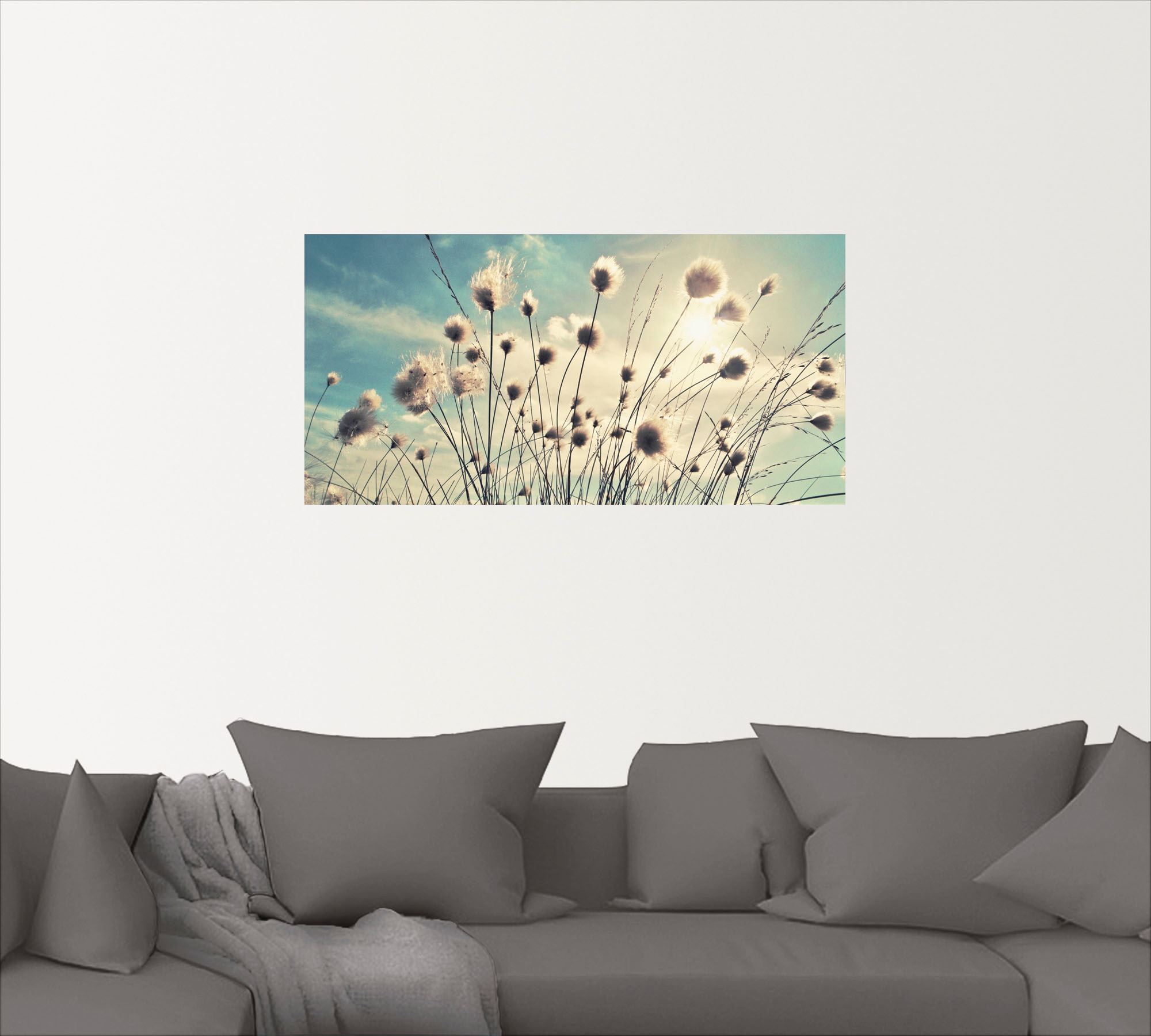 Artland Wandbild "Wollgras", Gräser, (1 St.), als Alubild, Outdoorbild, Lei günstig online kaufen