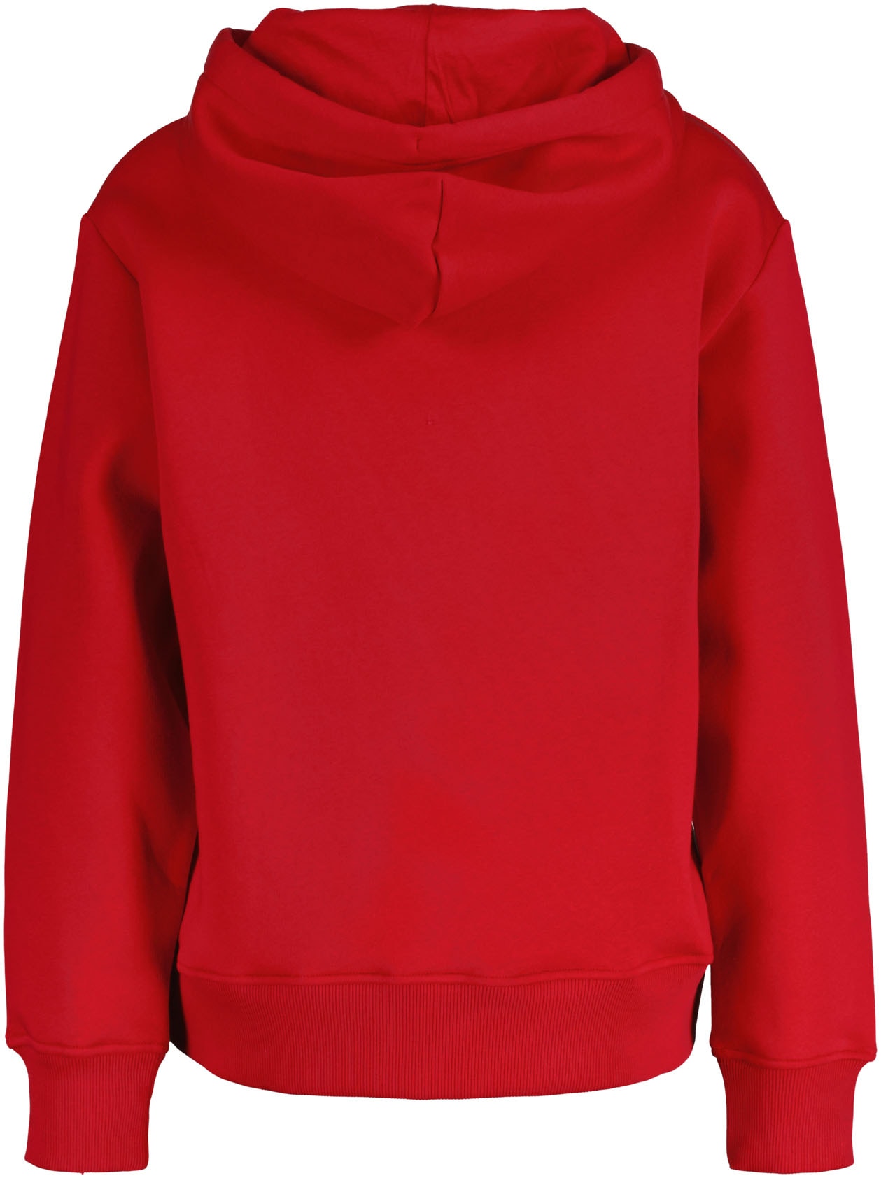 Gant Hoodie "SHIELD HOODIE", Grafische GANT-Stickerei auf der Brust günstig online kaufen