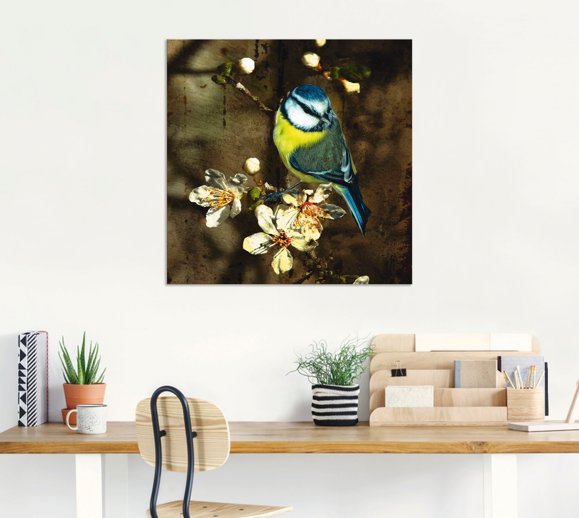 Artland Wandbild "Blaumeise auf Kirschzweig", Vögel, (1 St.), als Alubild, günstig online kaufen