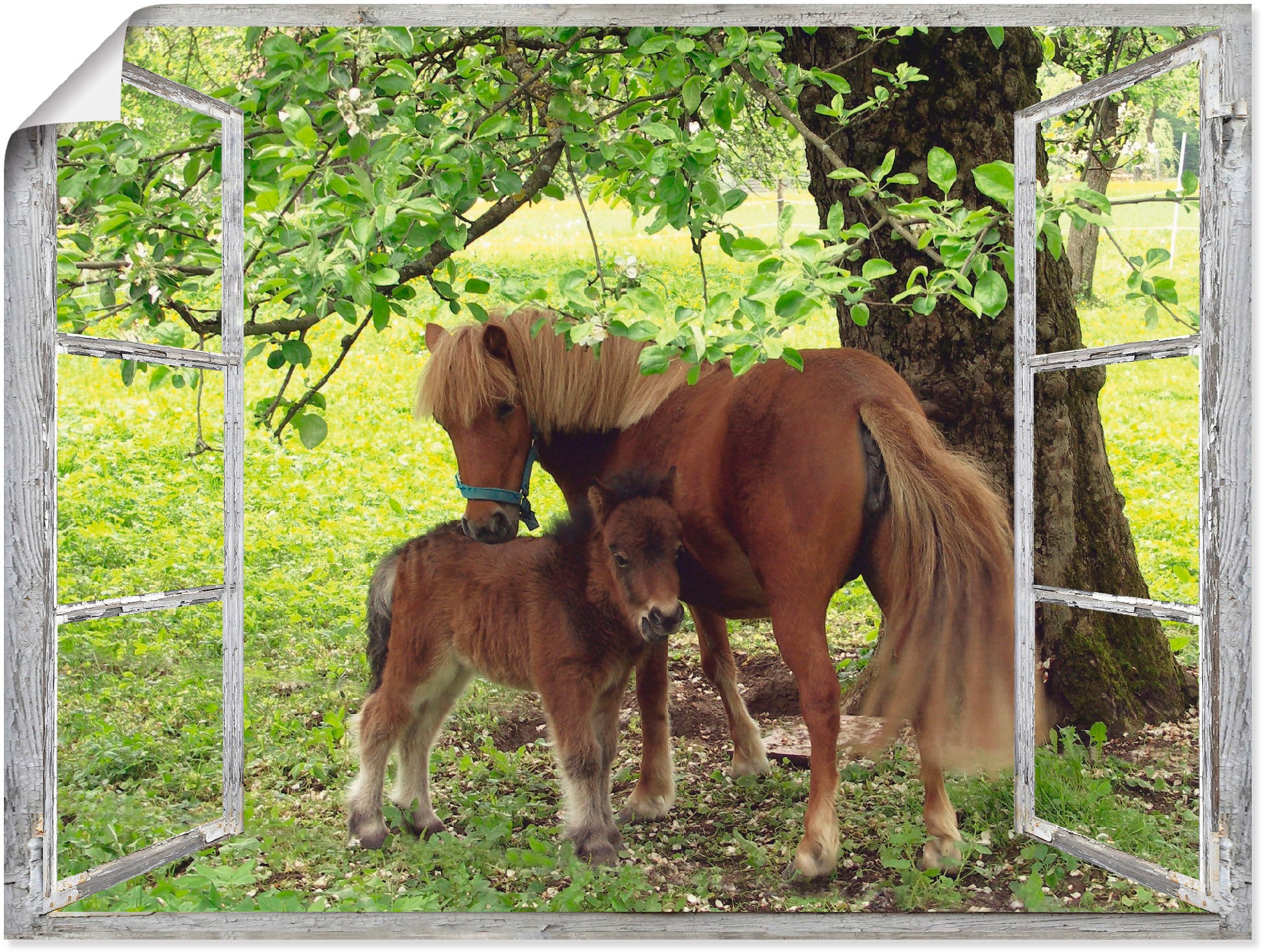 Artland Wandbild "Fensterblick - Pony mit Kind", Haustiere, (1 St.), als Leinwandbild, Poster, Wandaufkleber in verschie