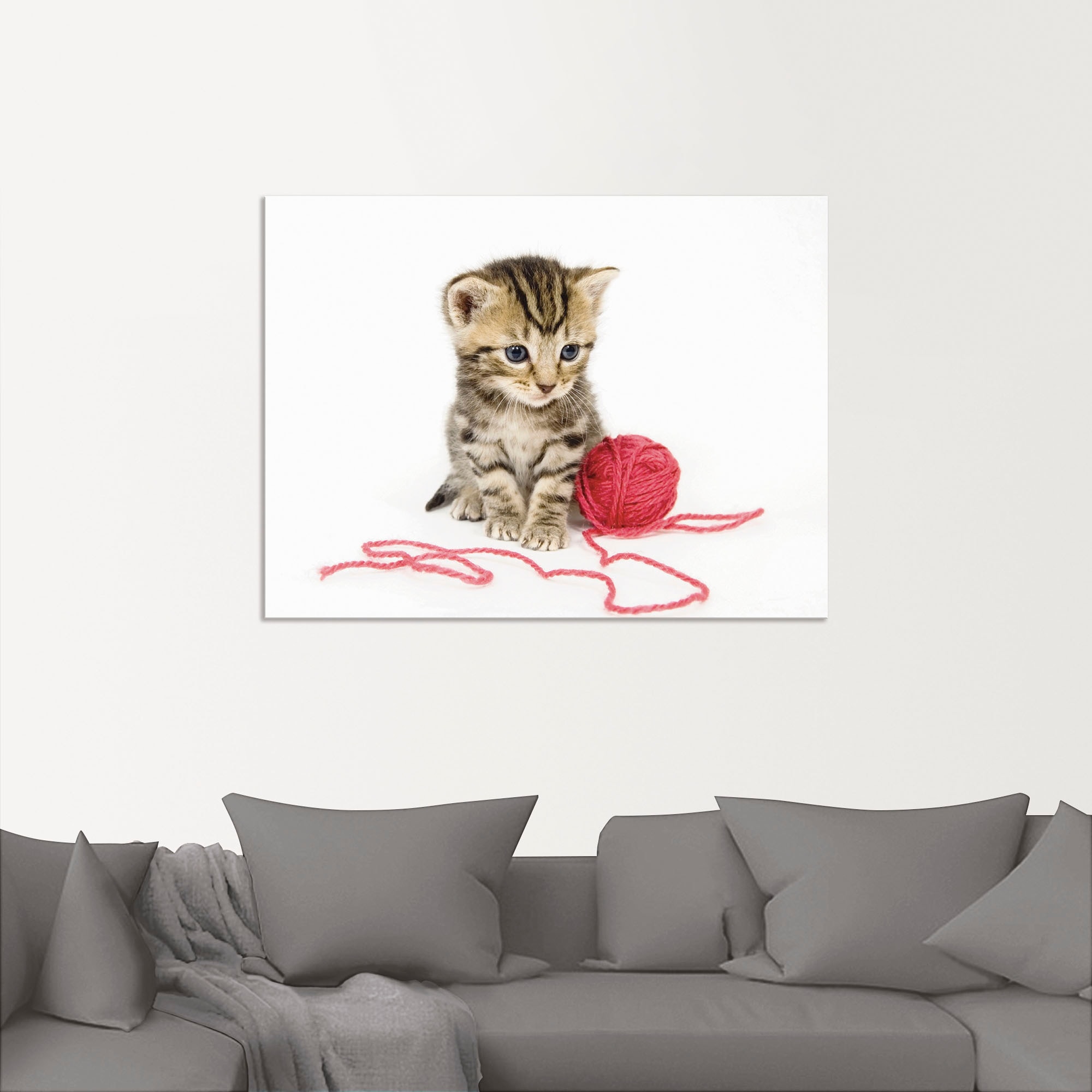 Artland Wandbild »Kätzchen mit rotem Garnball«, Haustiere, (1 St.), als Alubild, Outdoorbild, Poster, Wandaufkleber in verschied. Größen