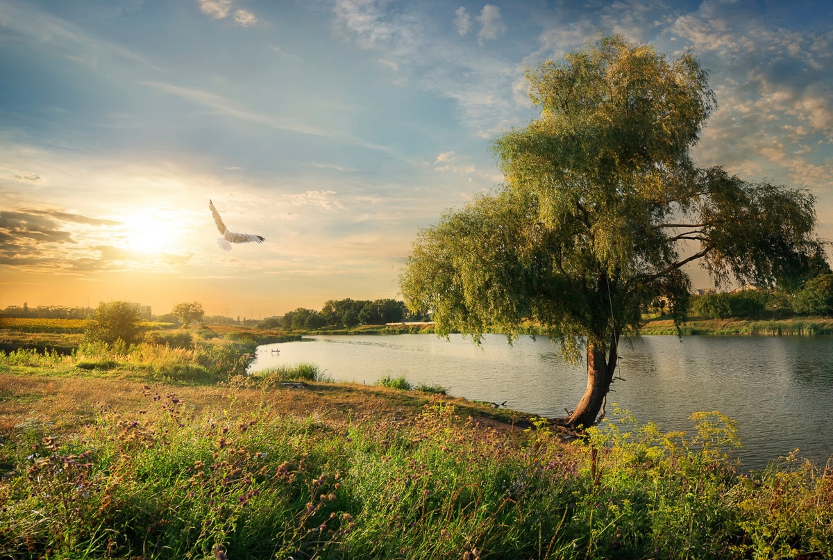 Papermoon Fototapete "Fluss in Landschaft"