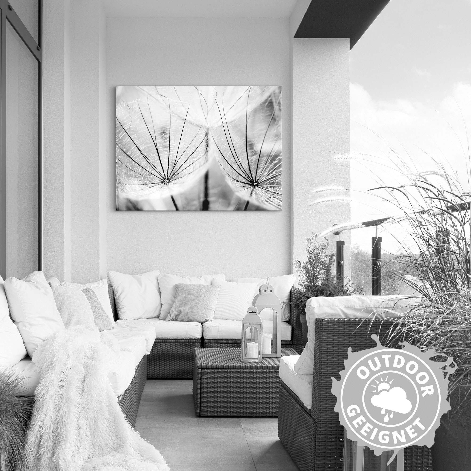 Artland Wandbild »Pusteblume in schwarzweiß«, Blumen, (1 St.), als Alubild, Outdoorbild, Leinwandbild, Poster, Wandaufkleber