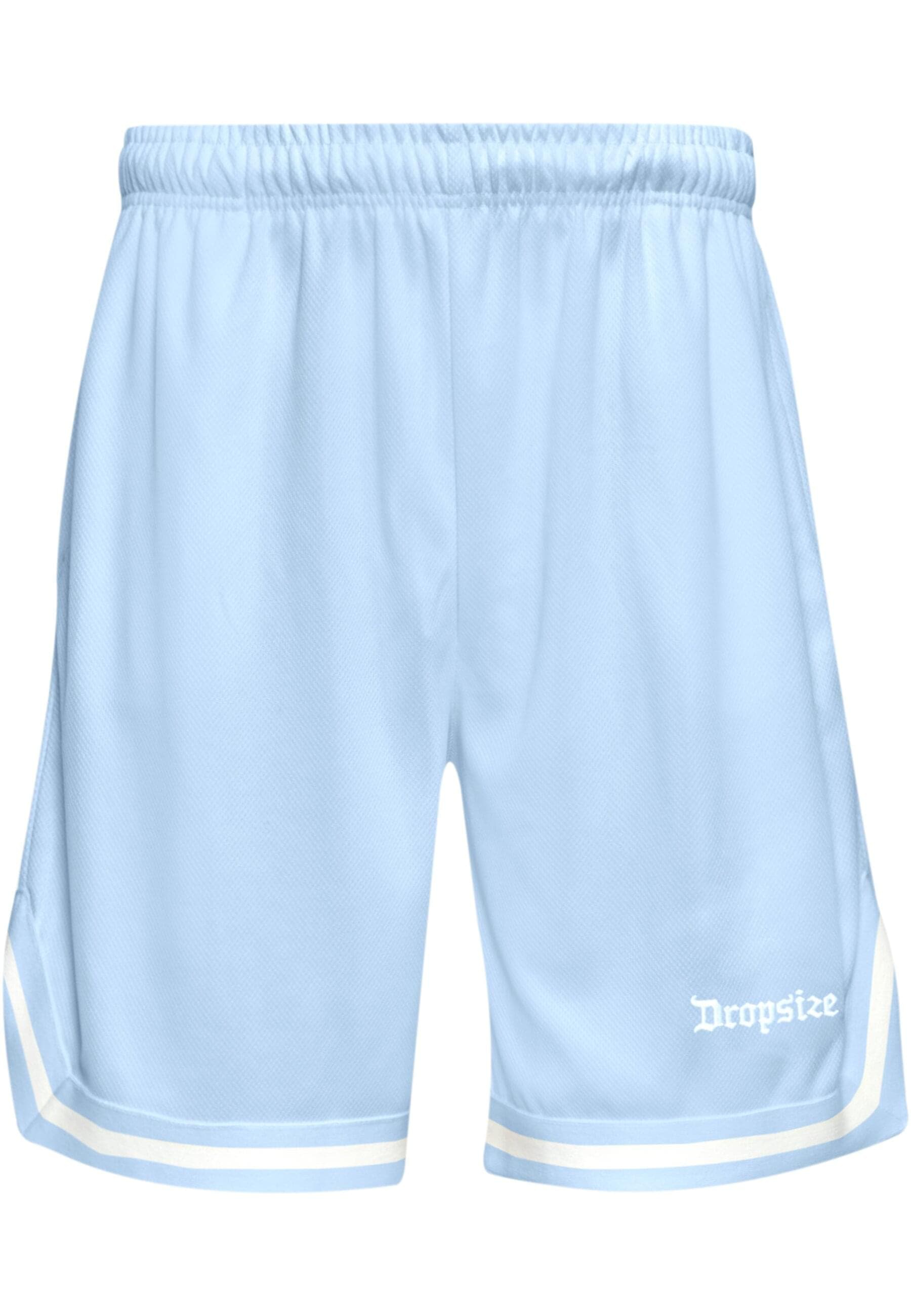 Dropsize Shorts "Dropsize Herren Dropsize Logo Mesh Shorts" günstig online kaufen