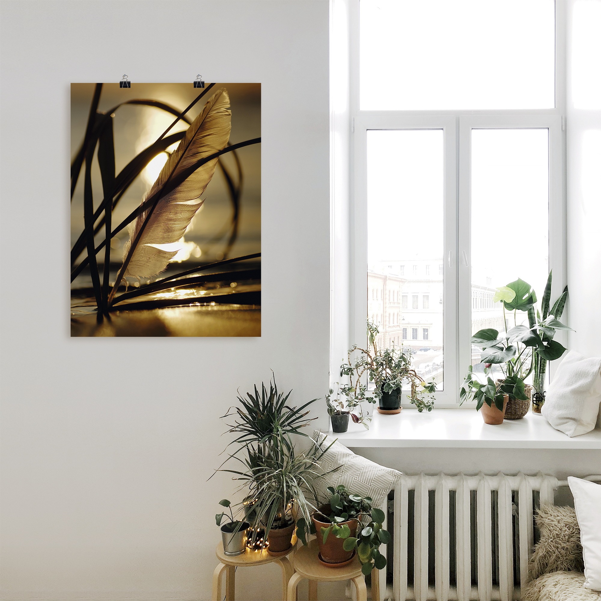 Artland Wandbild "Feder im Abendlicht" Gräser 1 Stk. tlg. als Leinwandbild, günstig online kaufen