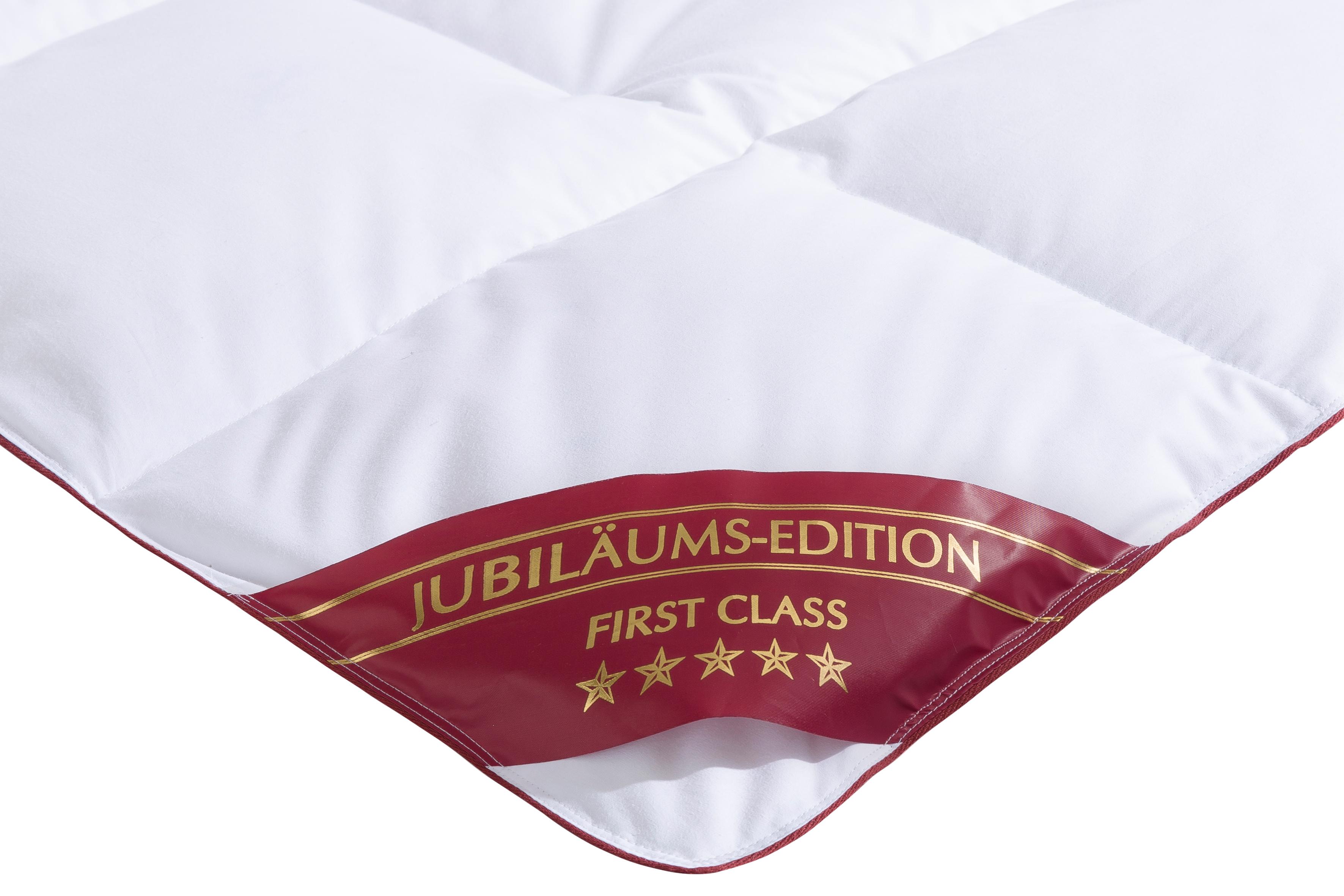 Thumbnail - Hanse by RIBECO Daunenbettdecke "Jule" normal Füllung 90Daunen10Federn 1 Stk. tlg. Jubiläumsedition