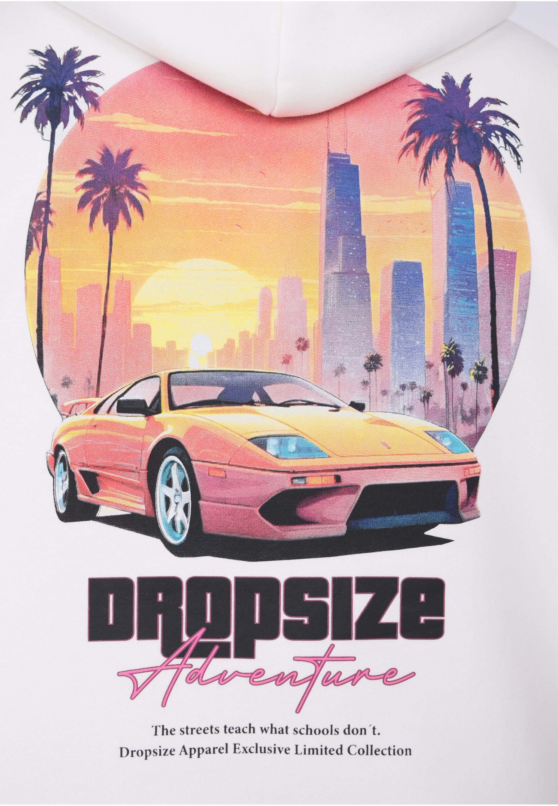 Dropsize Kapuzensweatshirt »Dropsize HEAVY OVERSIZE ADVENTURE HOODIE«, 1 Stk.
