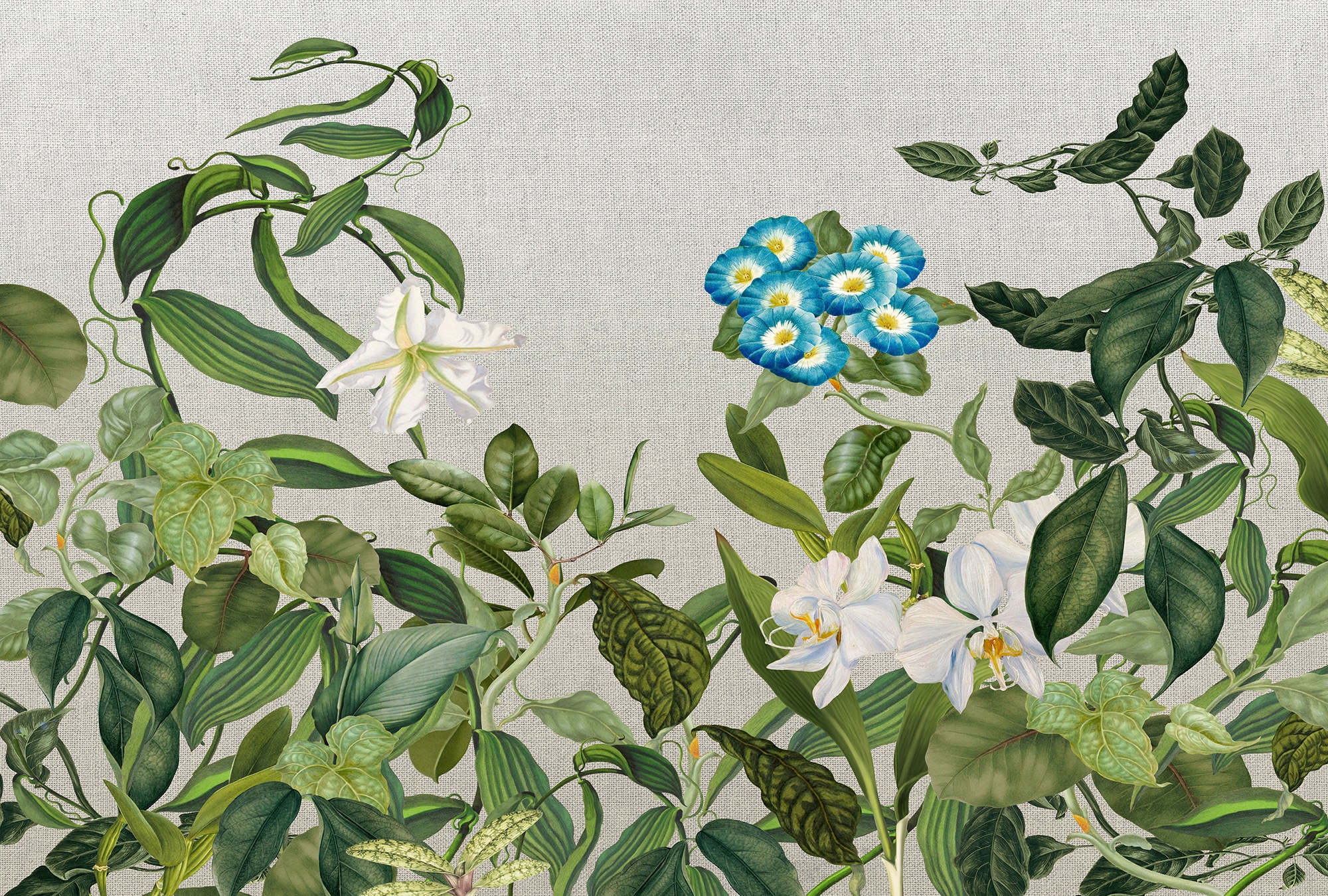 Architects Paper Fototapete "Atelier 47 Botanic Sketch 1" floral glatt Vlies, Wand, Schräge, Decke