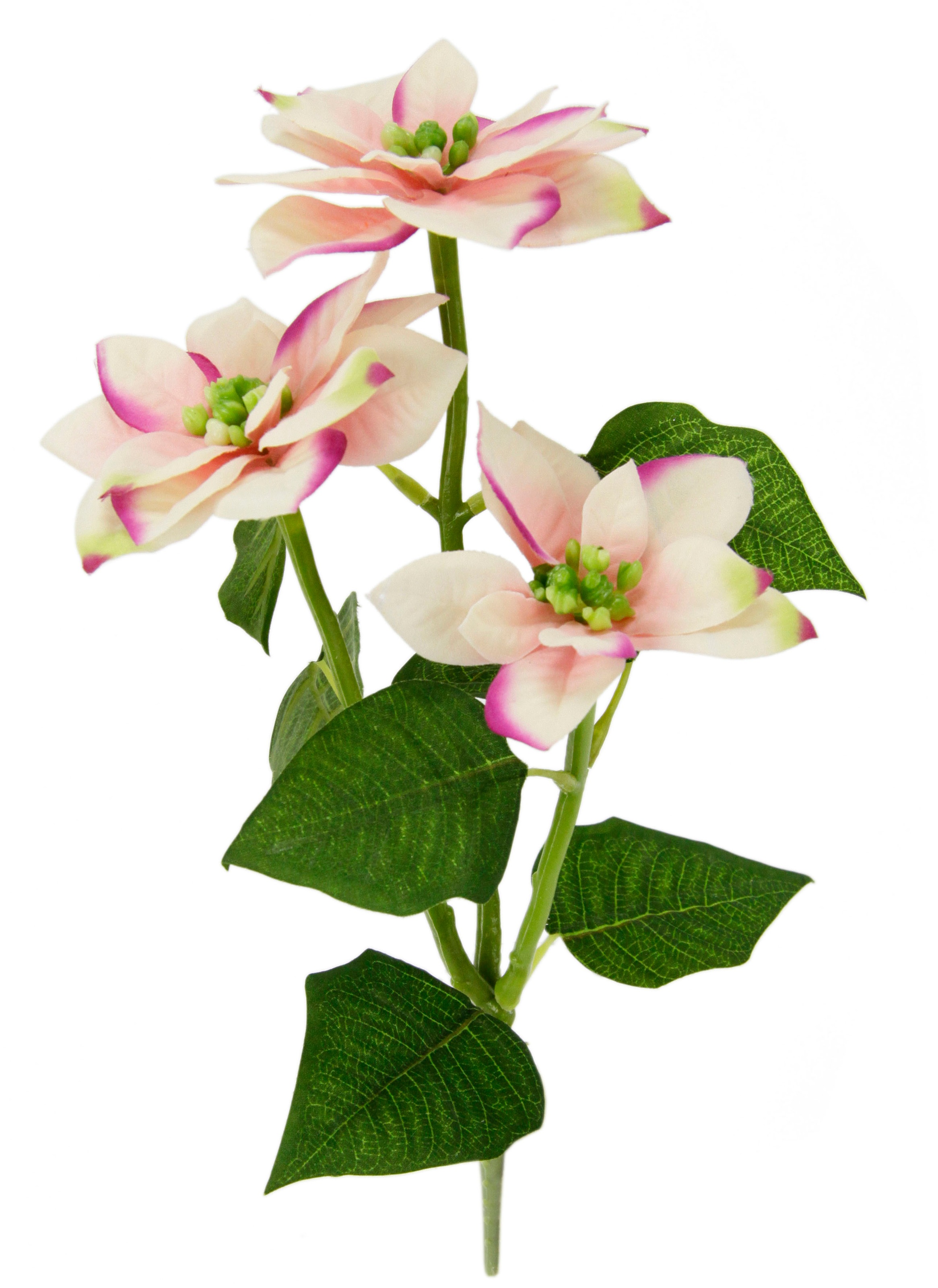 I.GE.A. Kunstblume »Poinsettie«, Künstlicher Poinsettiazweig, 5er Set
