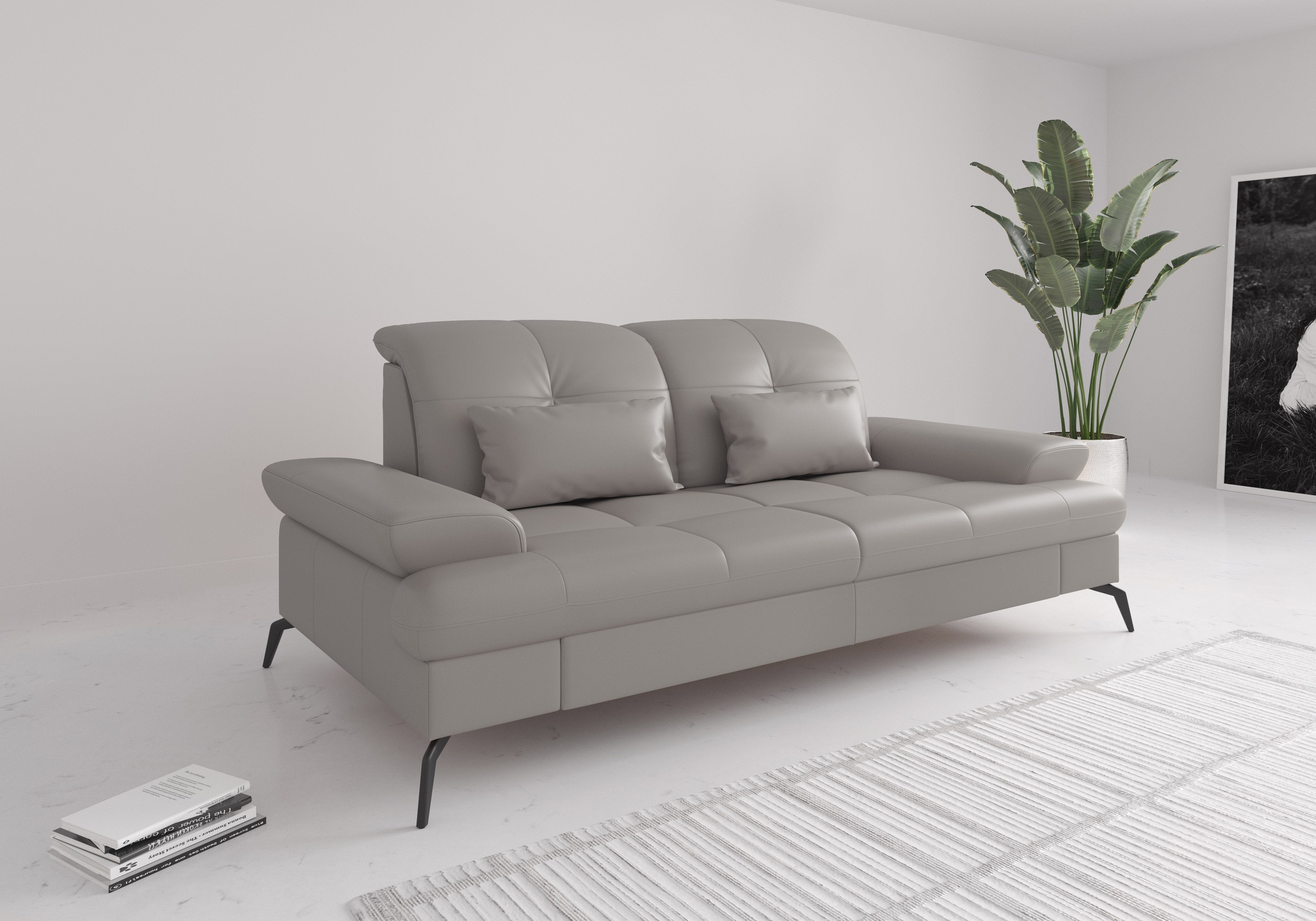 sit&more 2,5-Sitzer "Amica", inkl Sitztiefenverstellung und Armteilverstell günstig online kaufen