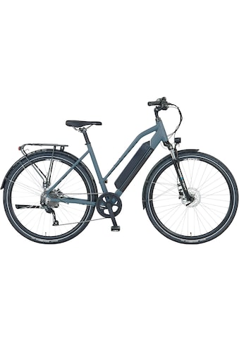 Prophete E-Bike » E-Bike Entdecker 1.8« 8 Gang ...