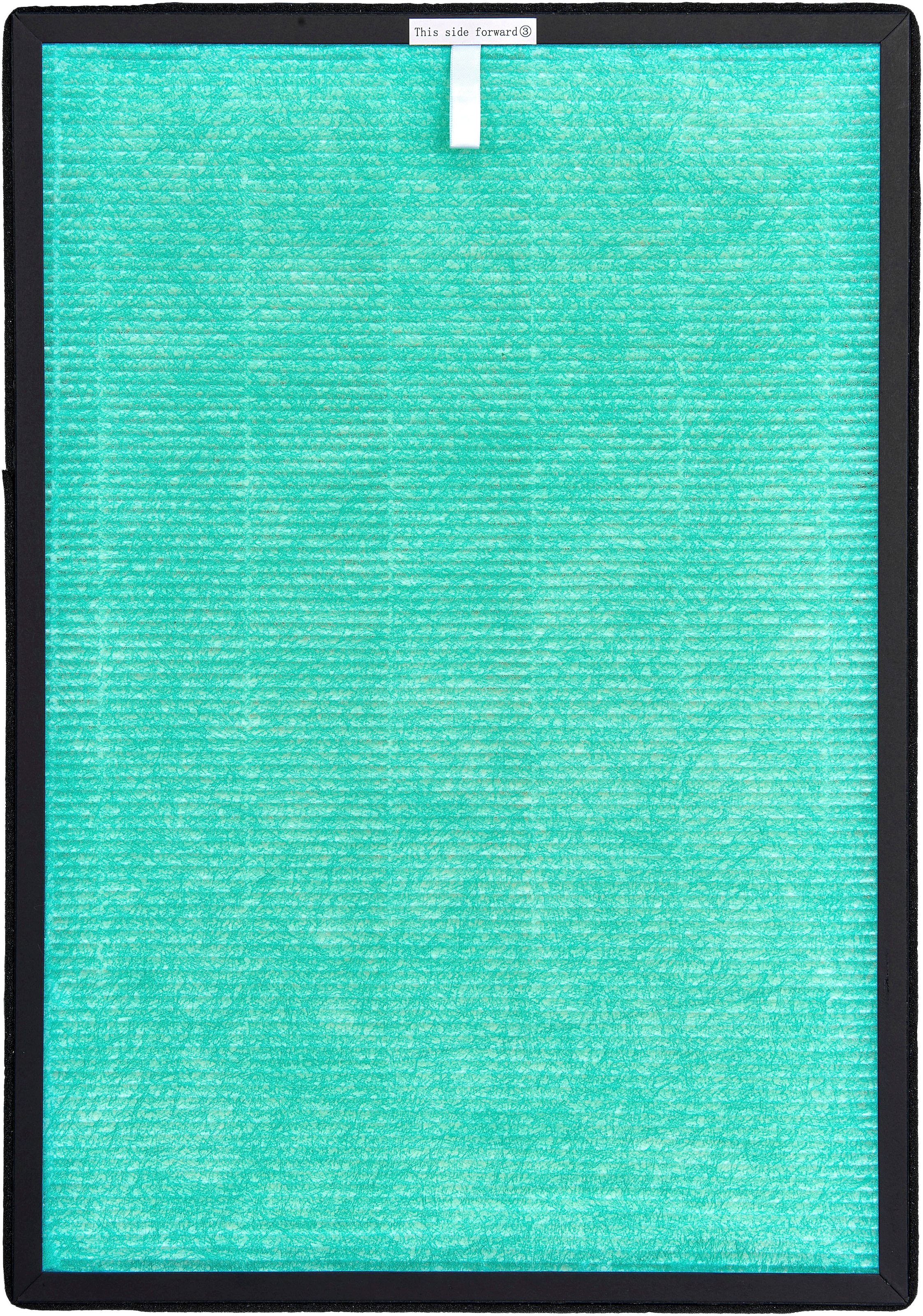 Gutfels Filter-Set »HEPA 11 für LR 67013 we« Set, 2 Stk. tlg.