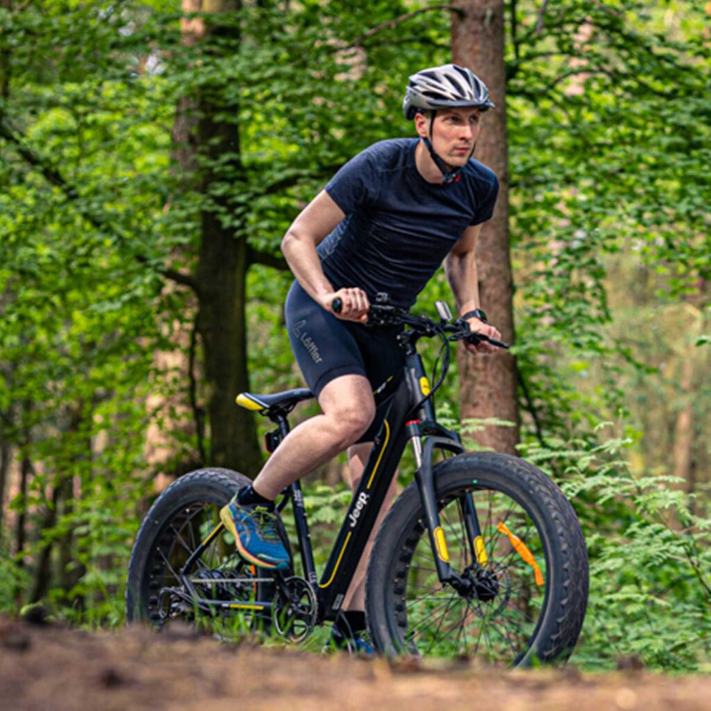 Jeep E-Bikes E-Bike »MHFR 7100 FAT«, 7 Gang, Heckmotor 250 W, (mit Akku-Ladegerät)