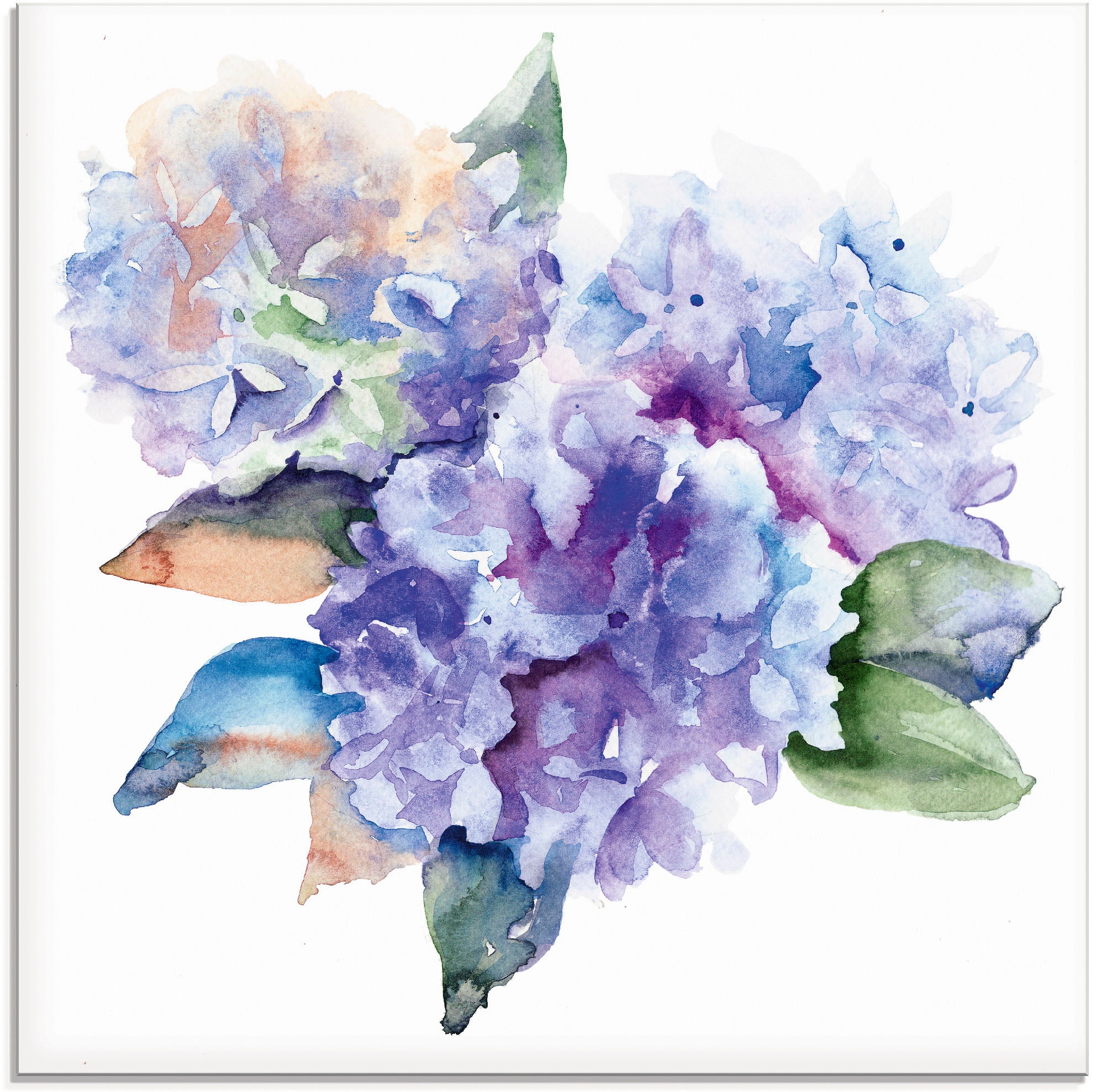 Artland Glasbild "Hortensien" Blumen 1 Stk. tlg. in verschiedenen Größen günstig online kaufen
