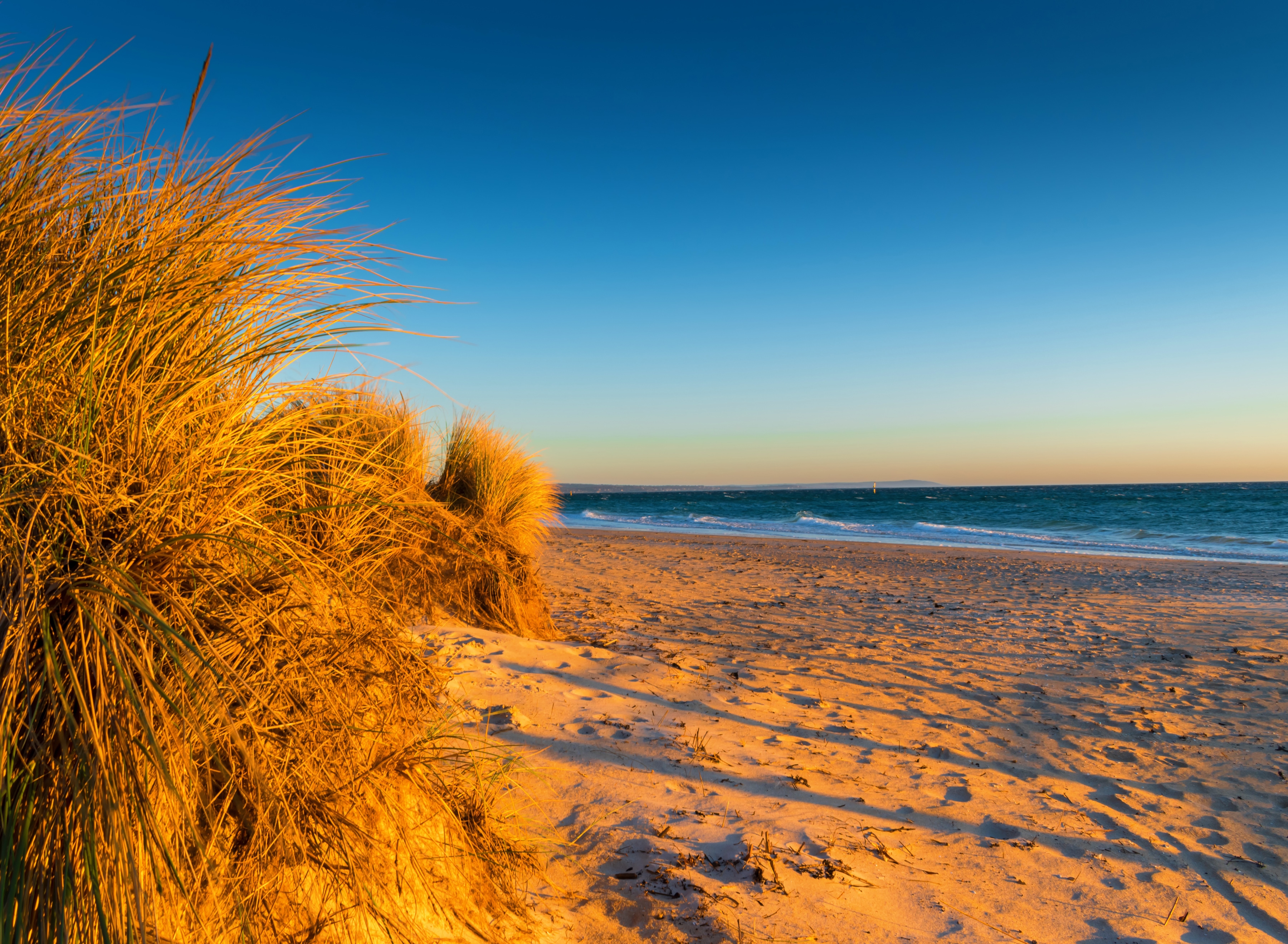 Papermoon Fototapete "Dunes Chelsea Beach Australia" glatt