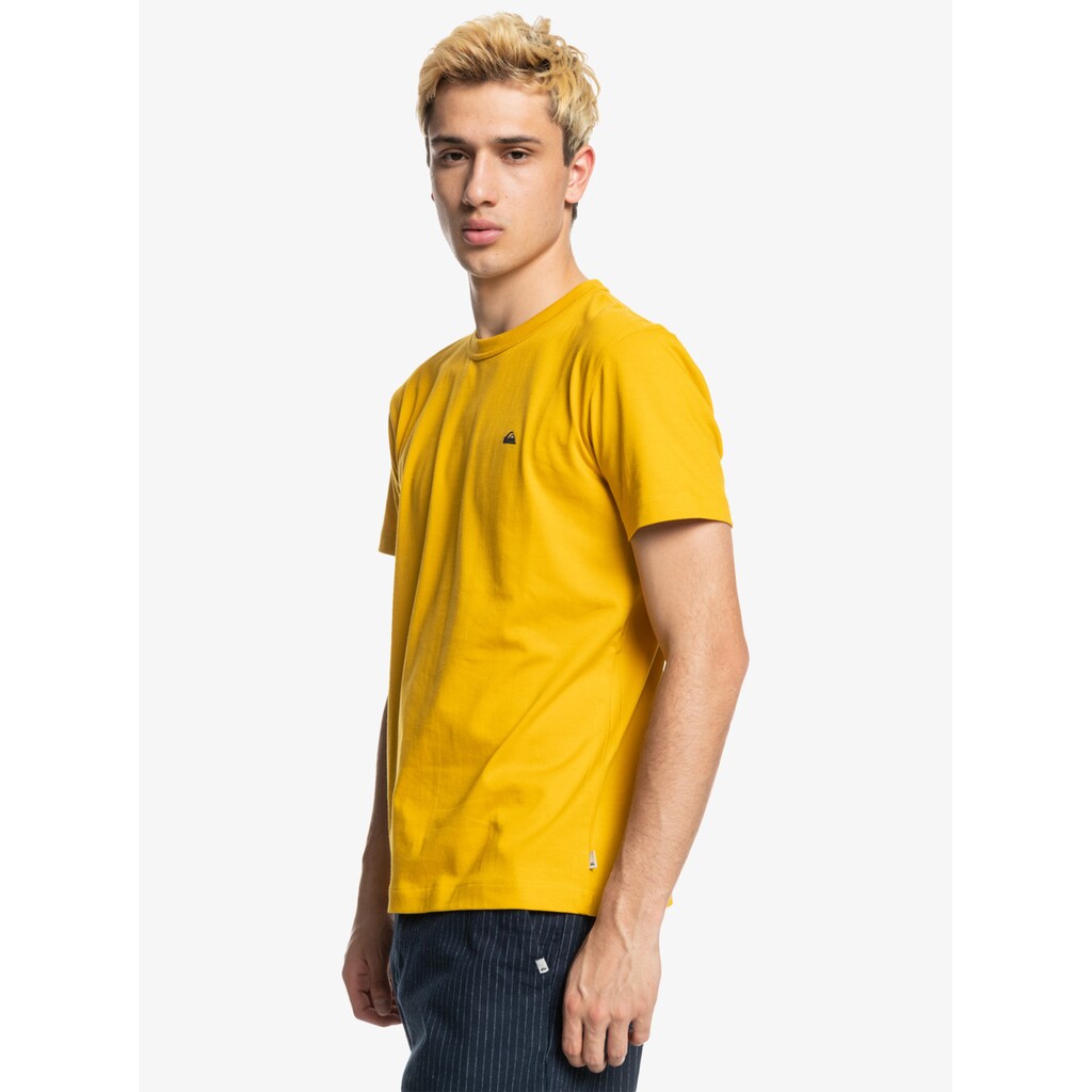 Quiksilver T-Shirt »Essentials«