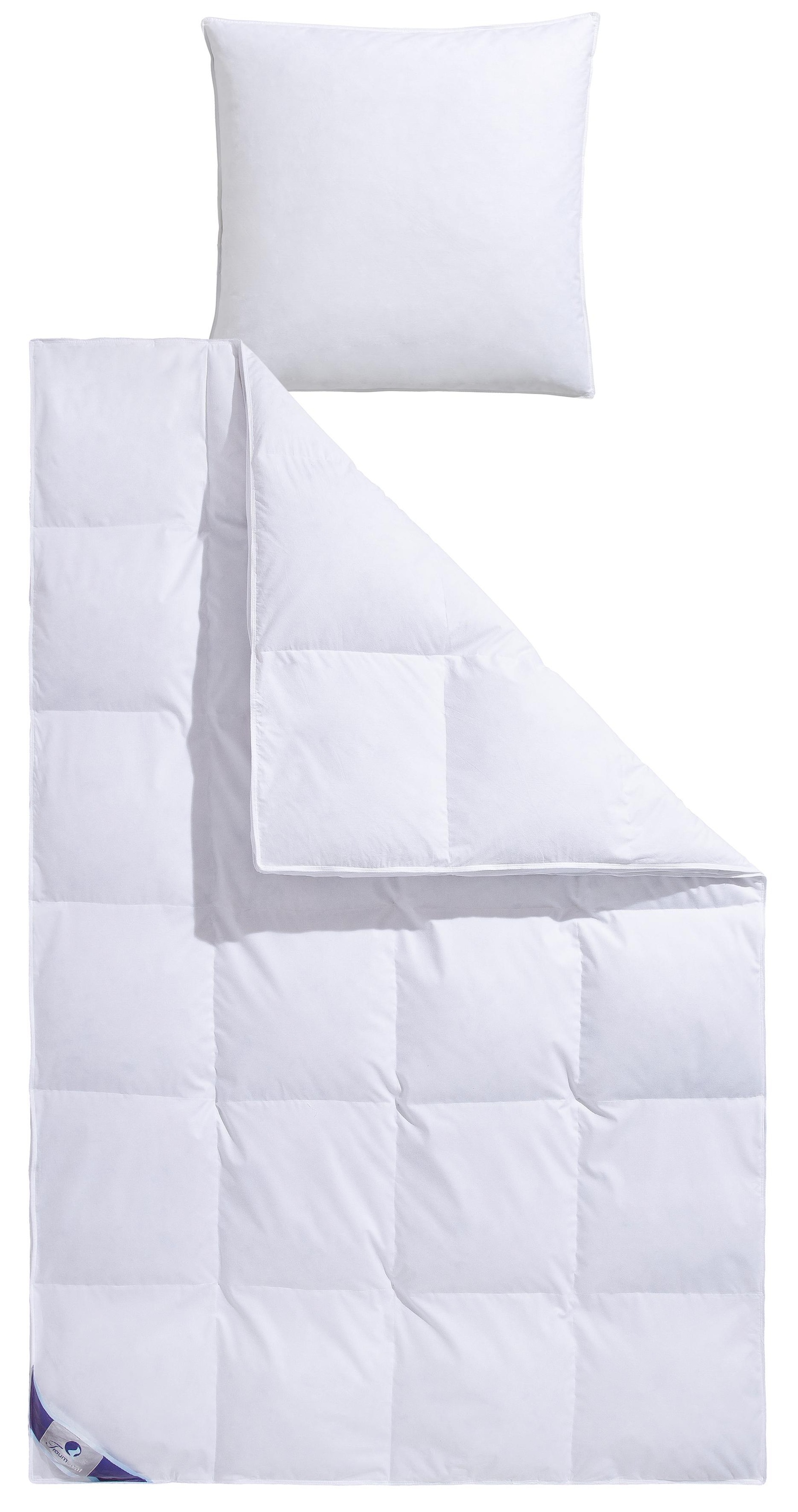 RIBECO Daunenbettdecke "extra prall" extrawarm Füllung 80Daunen20Federn 1 S günstig online kaufen