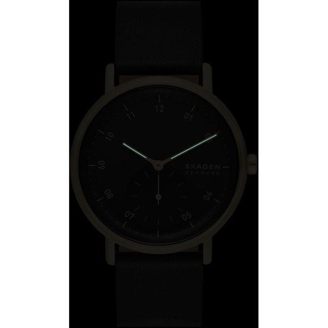 Skagen Quarzuhr »KUPPEL, SKW6896« ▷ bestellen | BAUR