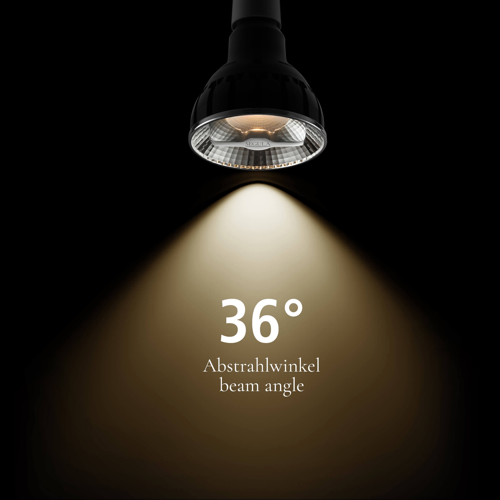 SEGULA LED-Leuchtmittel »PAR30 Reflektor 36° Ambient dimming« E27 1 Stk. Farbwechsler LED Reflektor 36° Ambient PAR30, E27, 13W, 2000-3000K, schwarz
