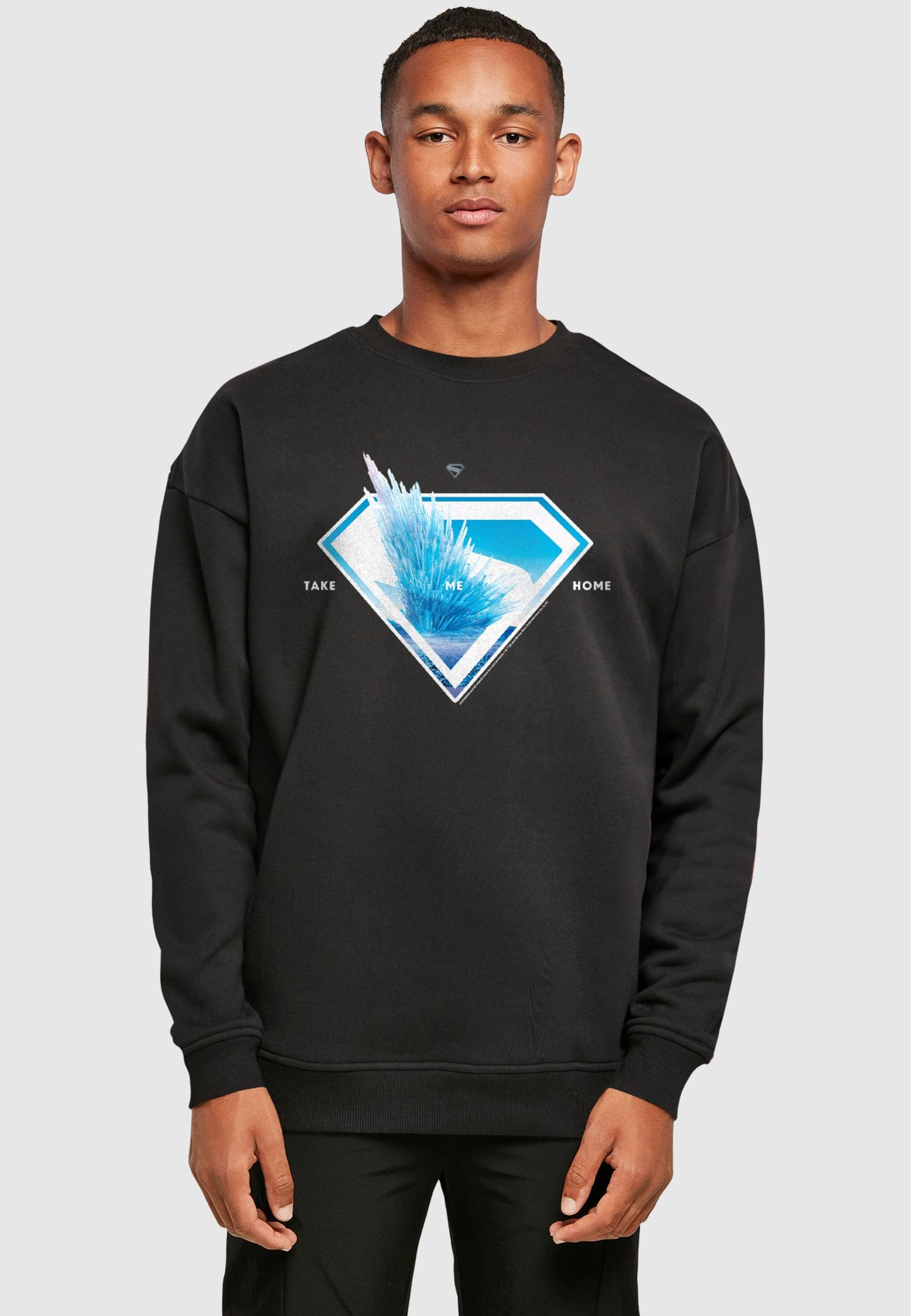 ABSOLUTE CULT Rundhalspullover »ABSOLUTE CULT Superman Logo Svalbard Take Me Home Sweat Crewneck«, (1 tlg.)
