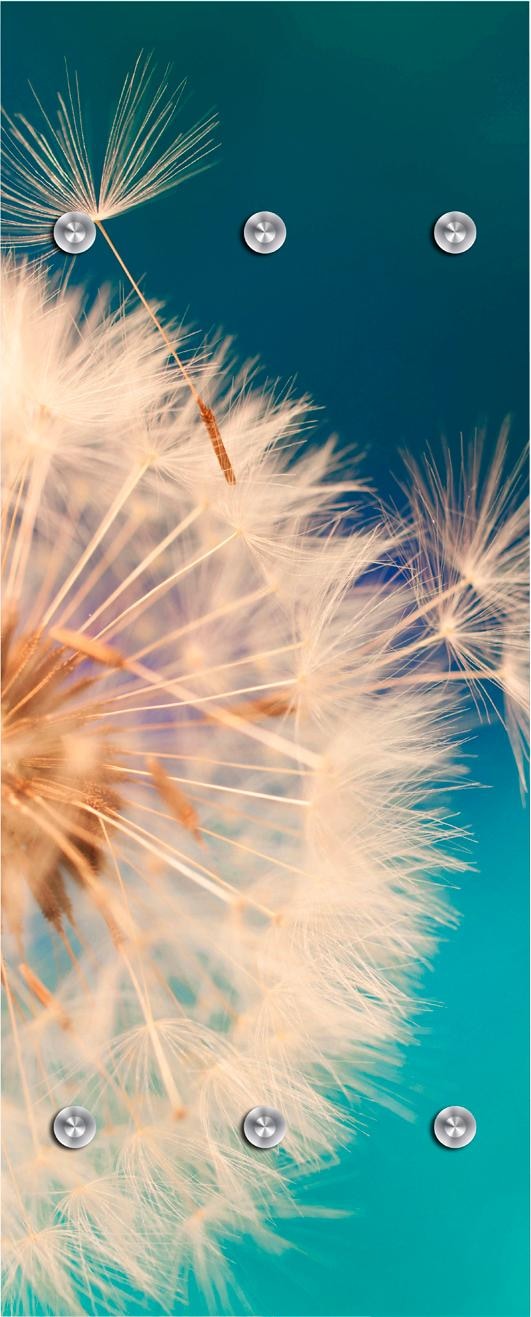 Garderobenleiste »Pusteblume in groß«, mit 6 Haken, 50 x 120 cm