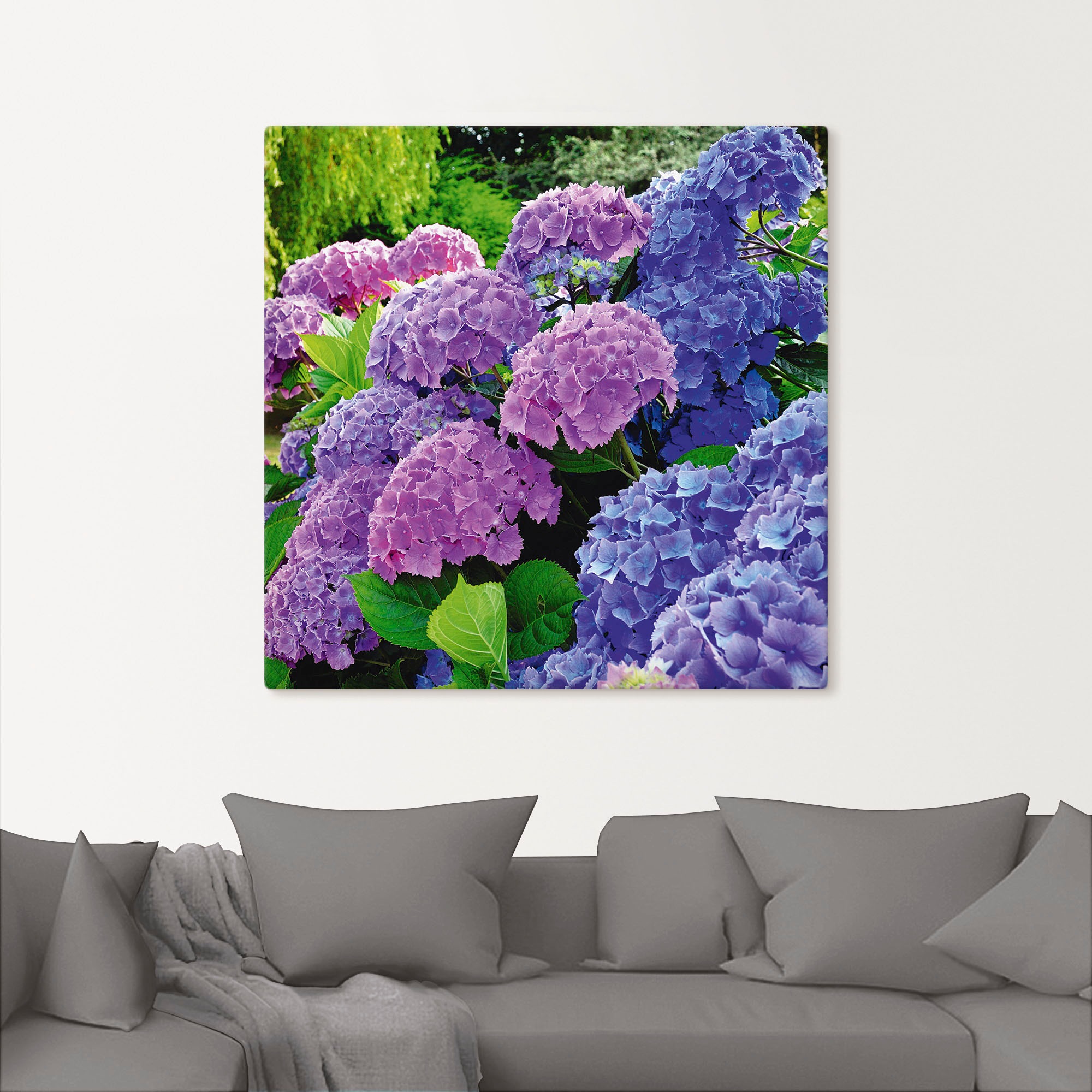 Artland Wandbild "Hortensien im Garten" Blumen 1 Stk. tlg. als Alubild, Lei günstig online kaufen