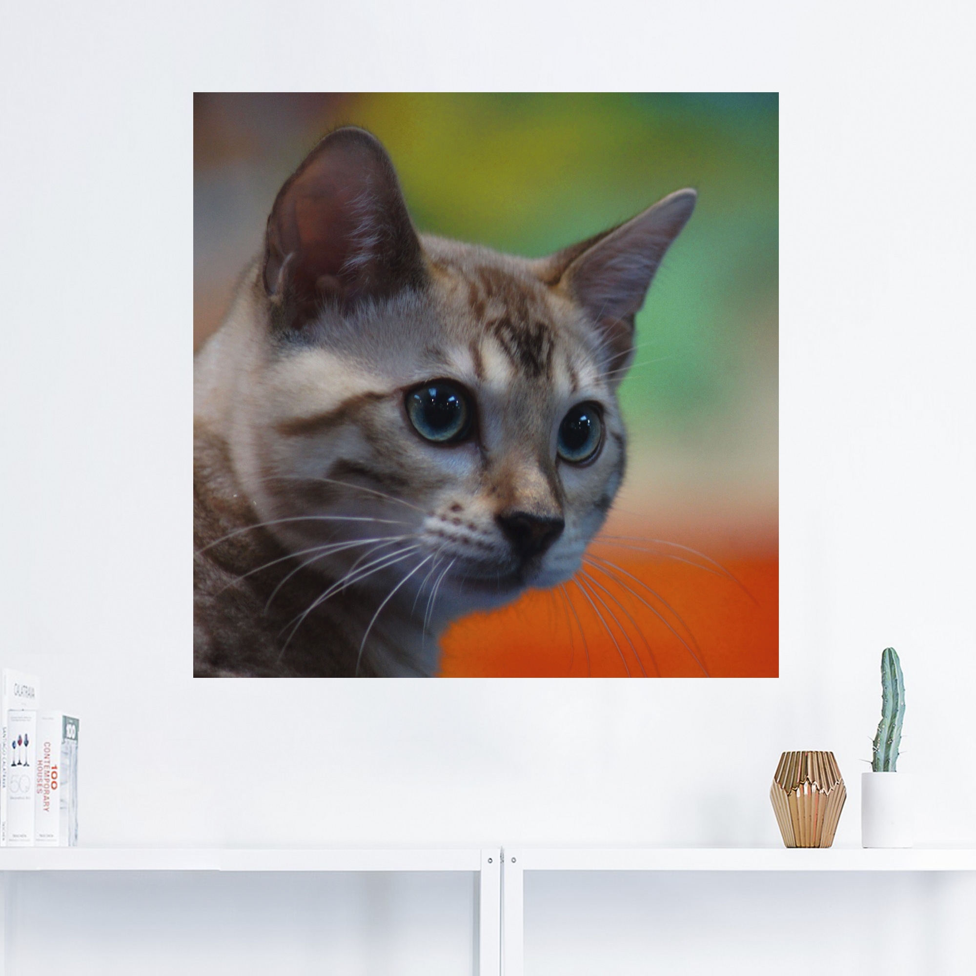 Artland Wandbild »Weiße Bengalkatze«, Haustiere, (1 St.), als Alubild, Leinwandbild, Wandaufkleber oder Poster in versch. Größen