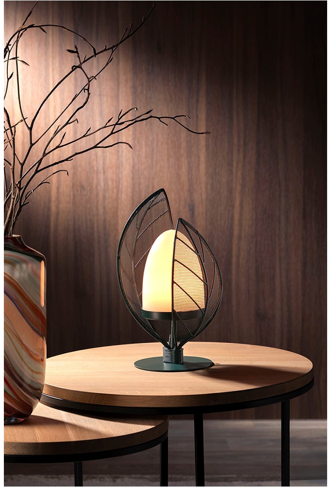 Fink Windlicht »VITANA«